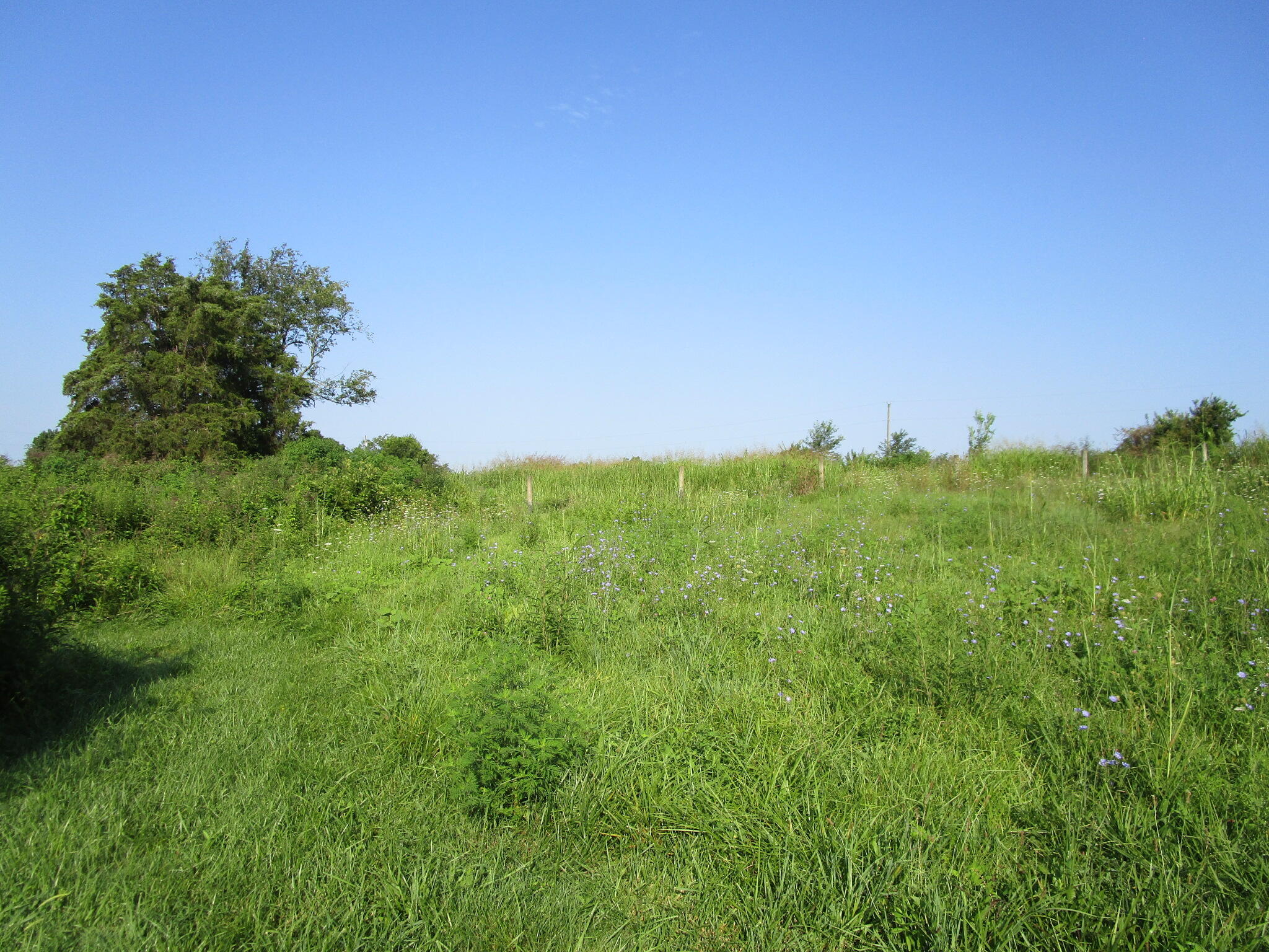 1136 Patrick Road Property Photo 40