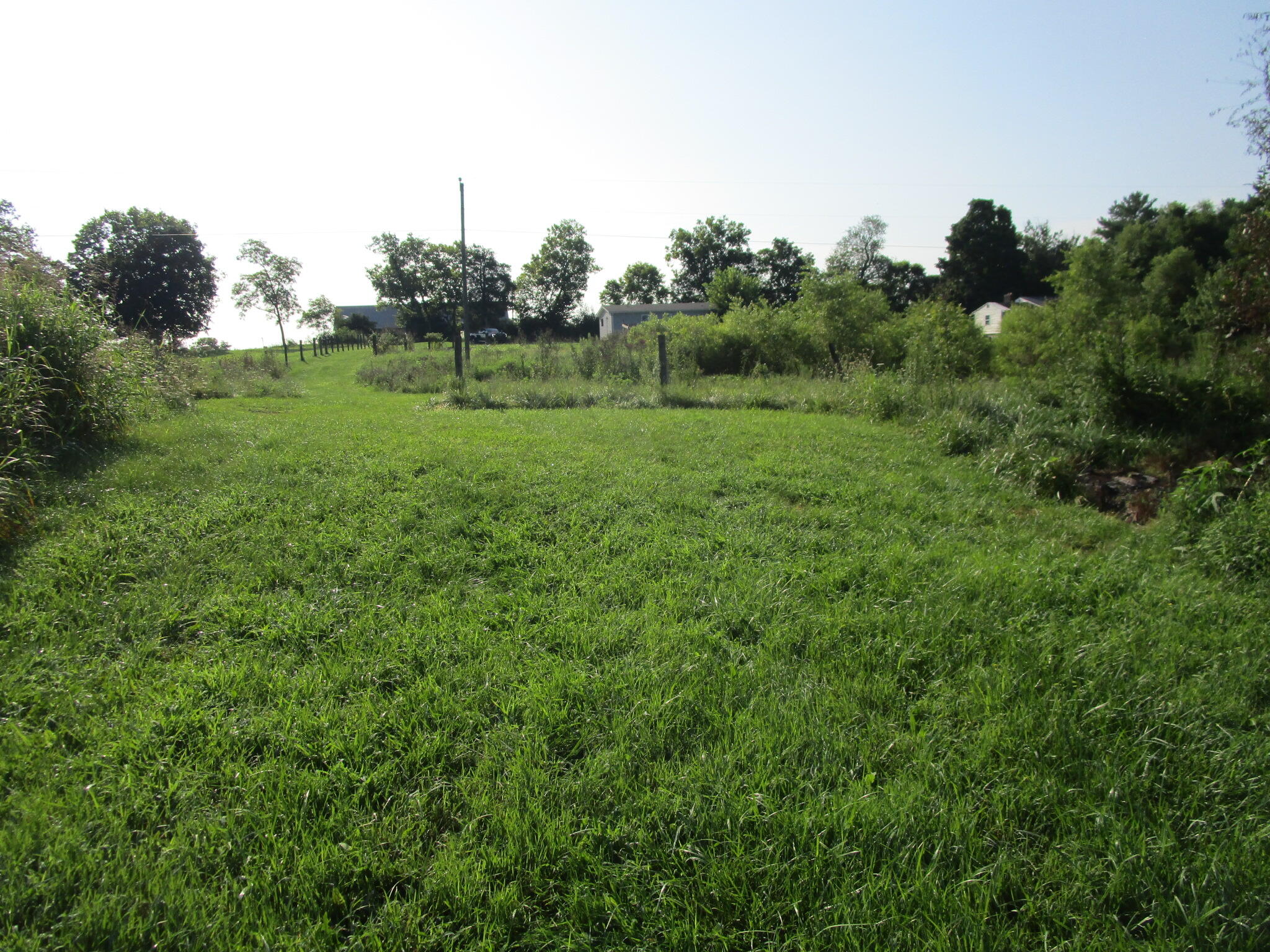 1136 Patrick Road Property Photo 41
