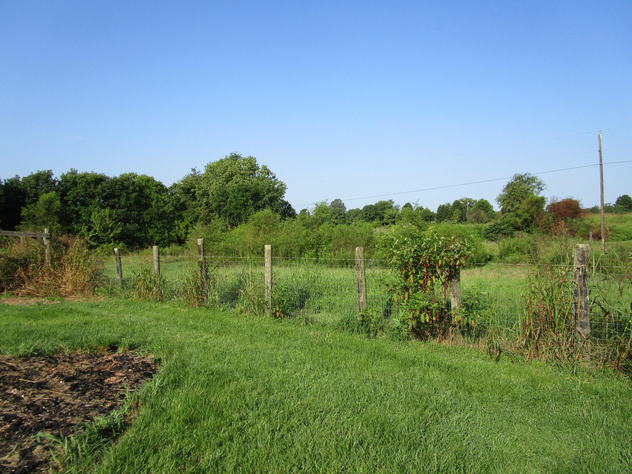 1136 Patrick Road Property Photo 43