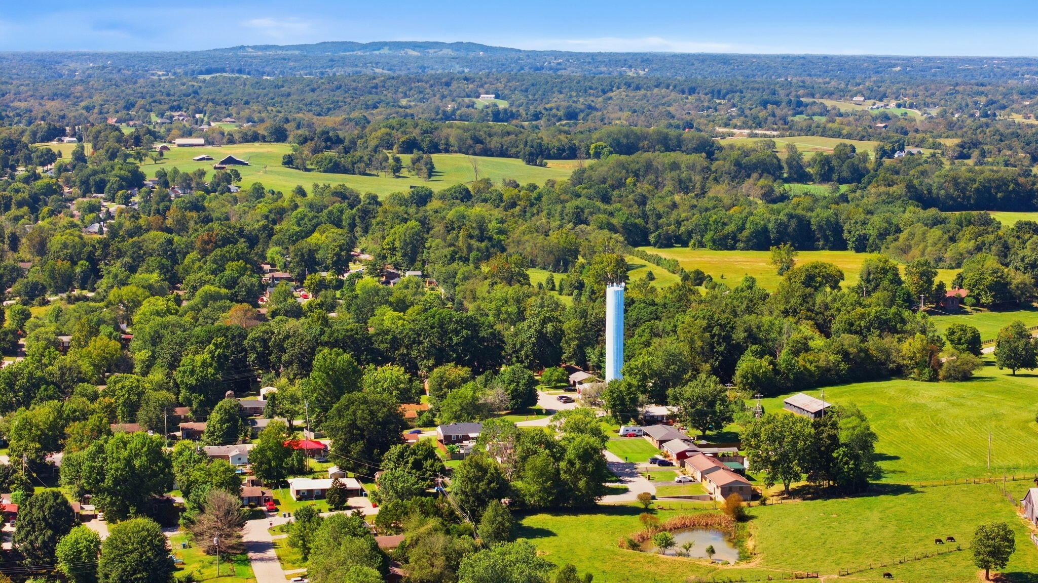 39 Elmwood Court Property Photo 45