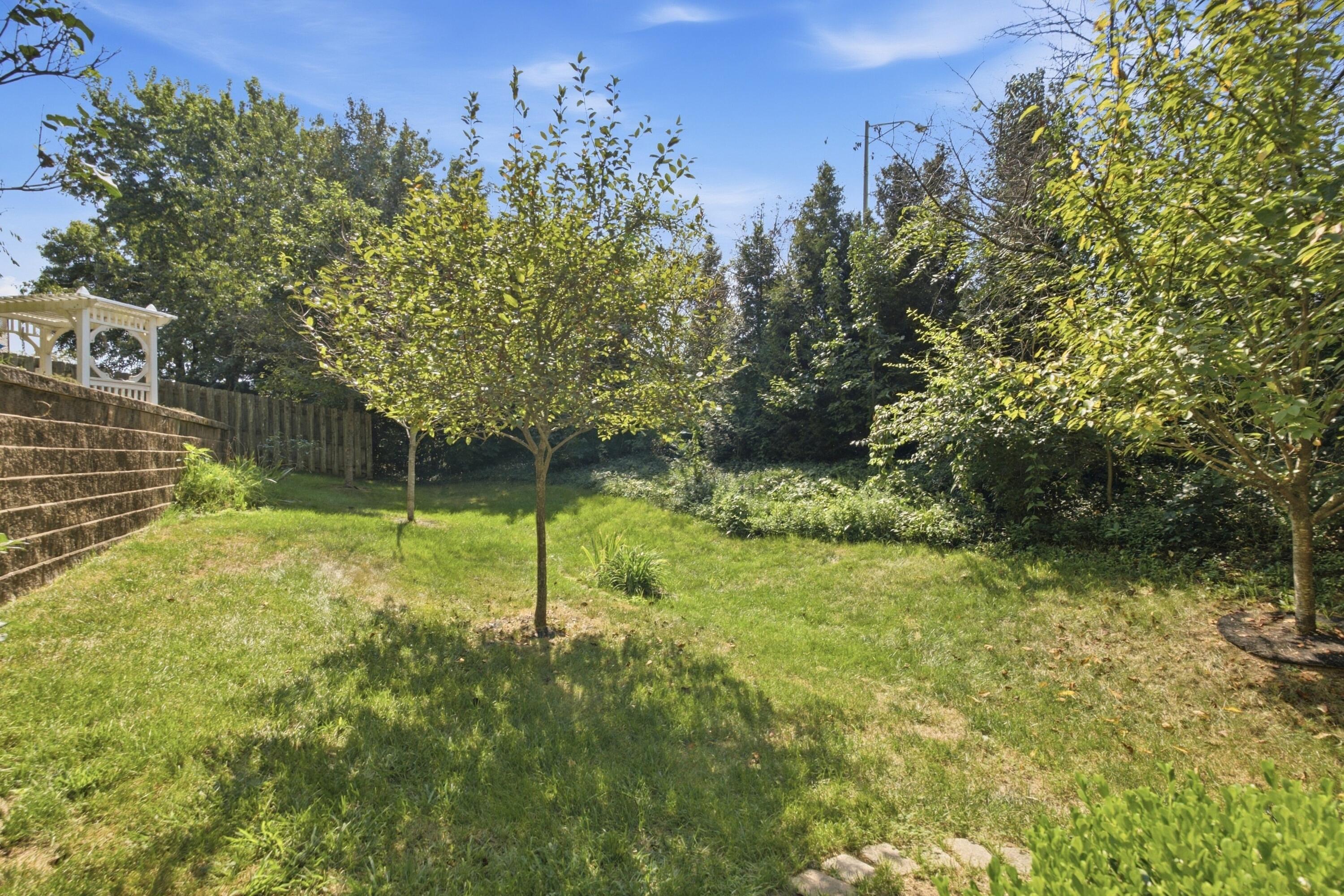 1117 Aldridge Way Property Photo 62