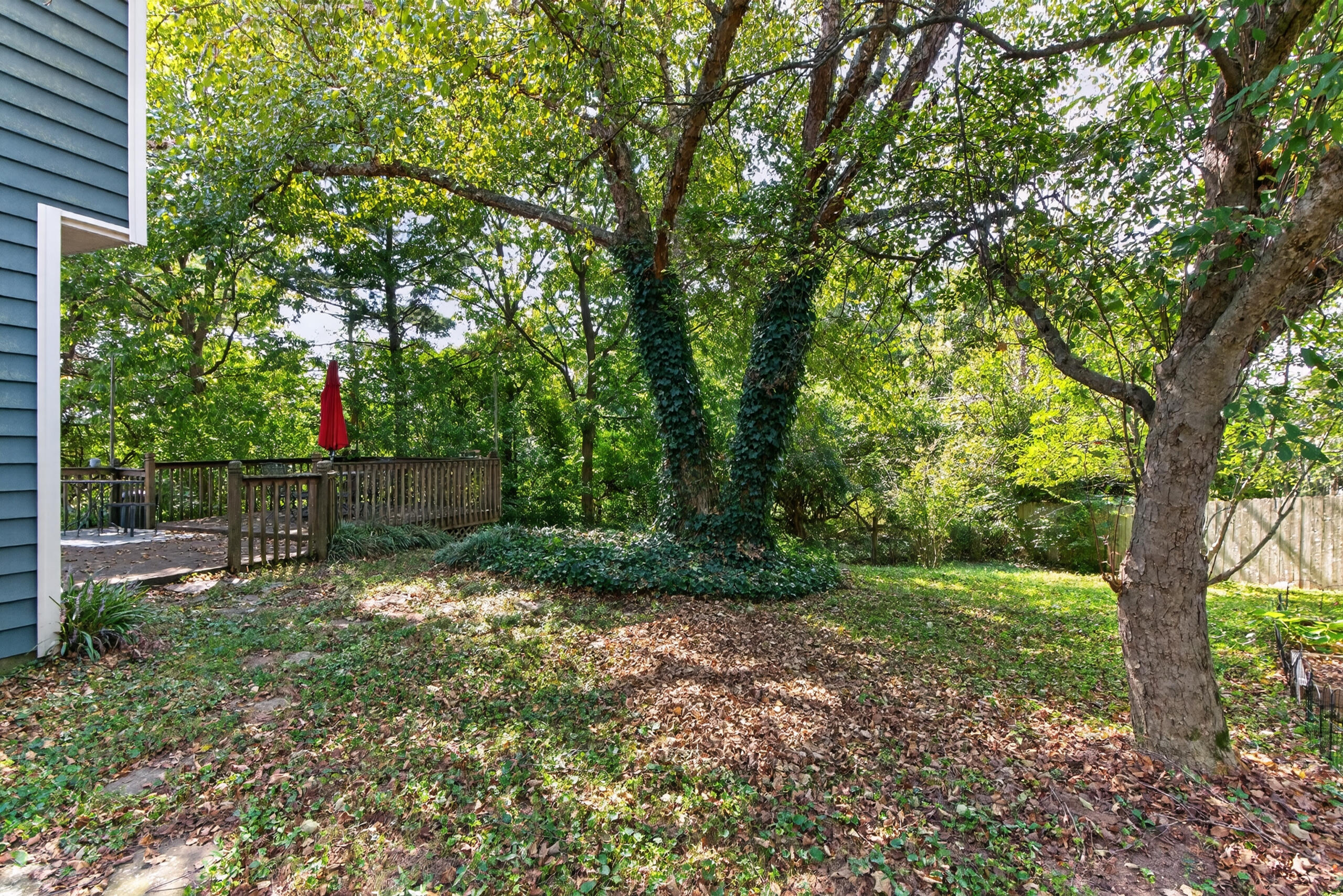 3925 Hillside Drive Property Photo 29