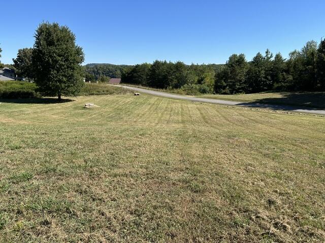 520 Beechwood Drive Property Photo 2