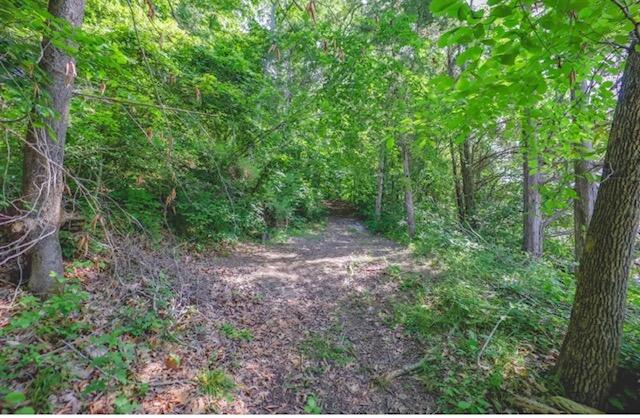520 Beechwood Drive Property Photo 19