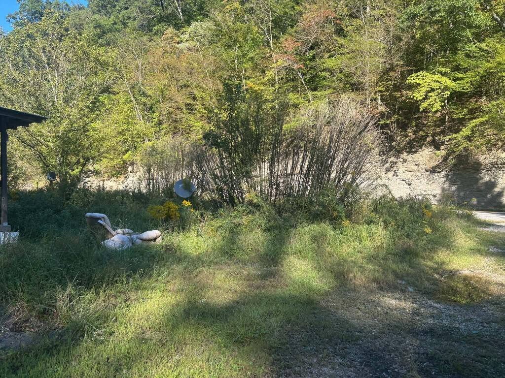 885 Ky Route 581 Property Photo 1