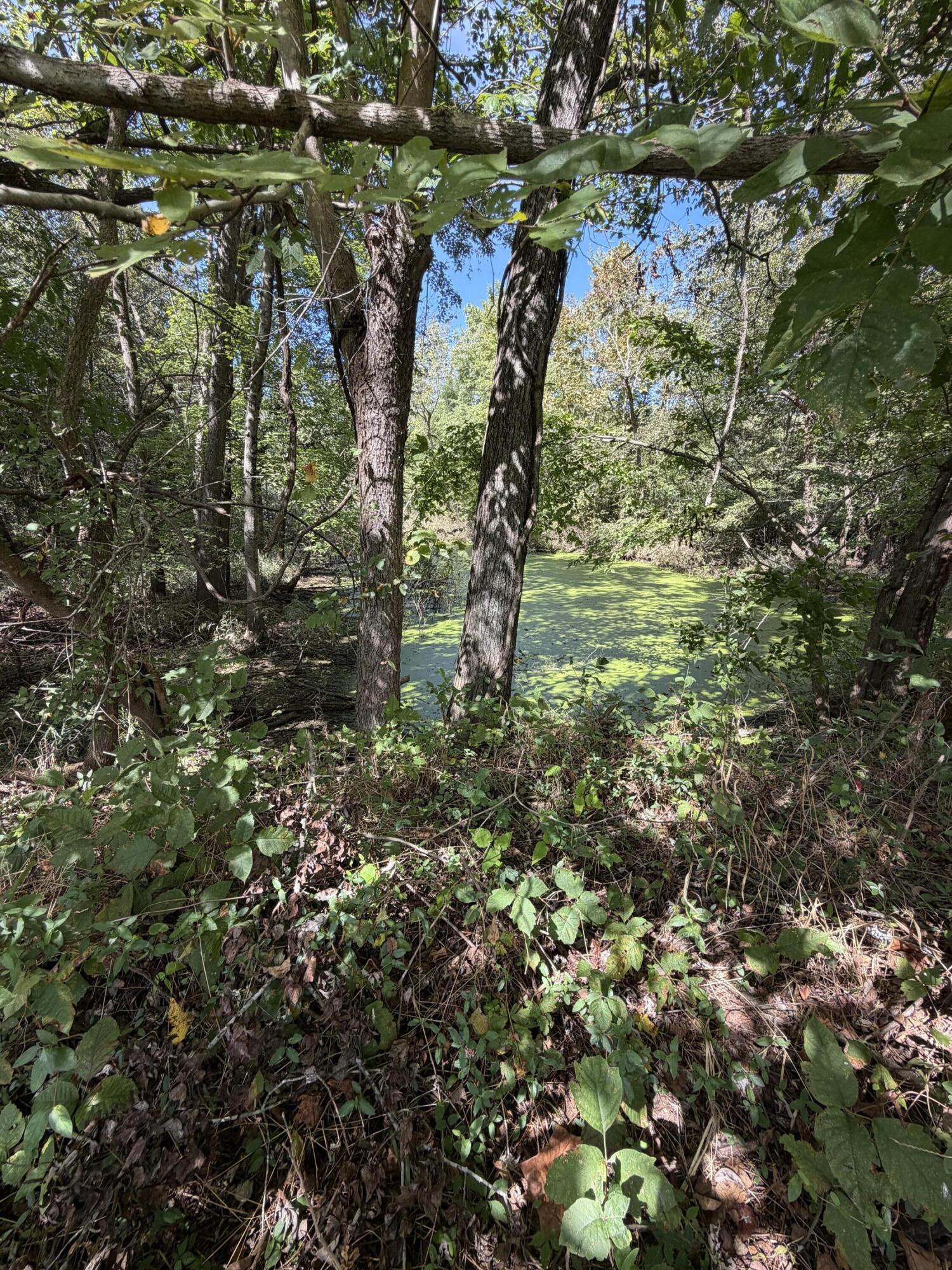000 State Route 121 Property Photo 1
