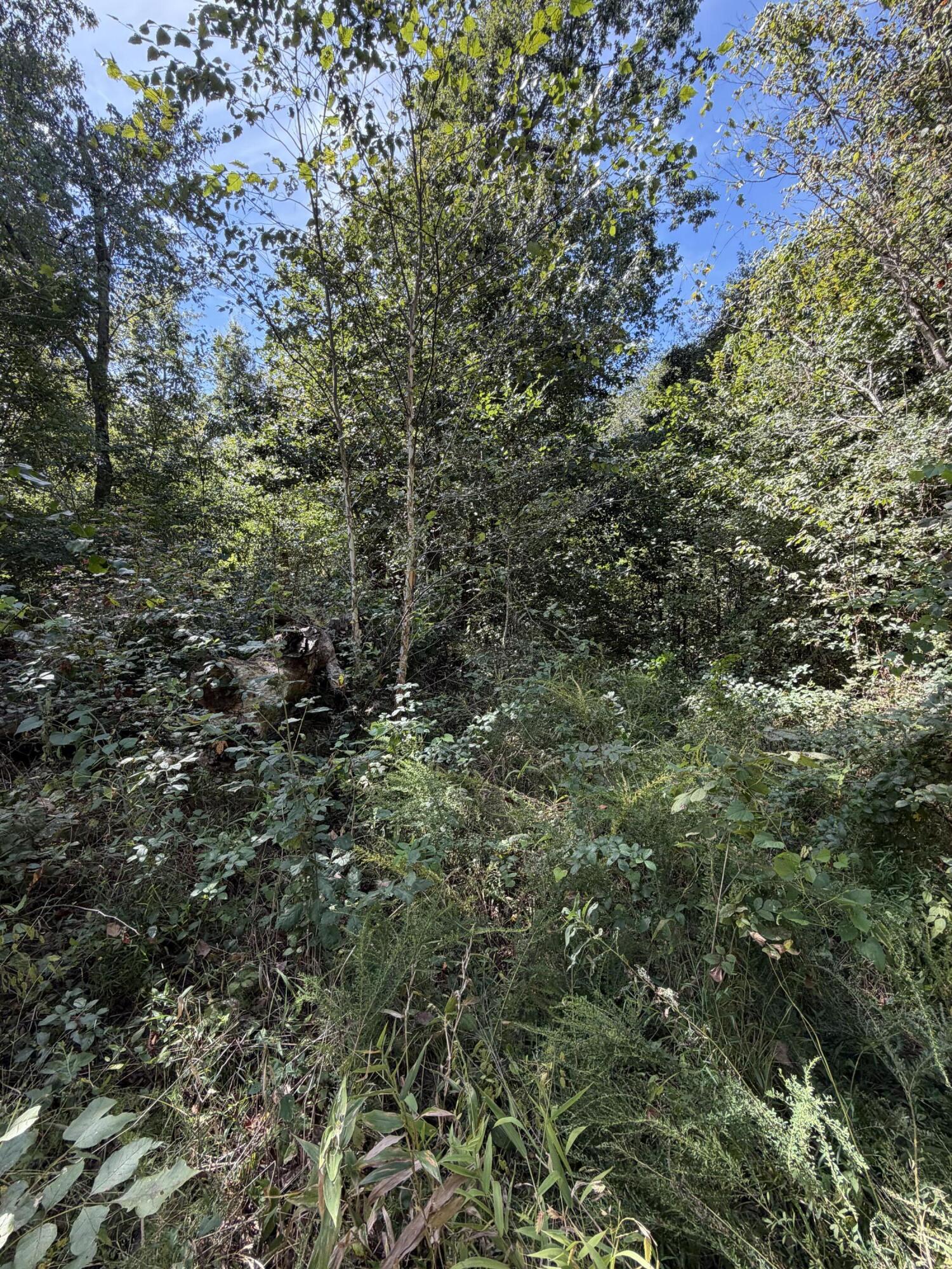 000 State Route 121 Property Photo 4