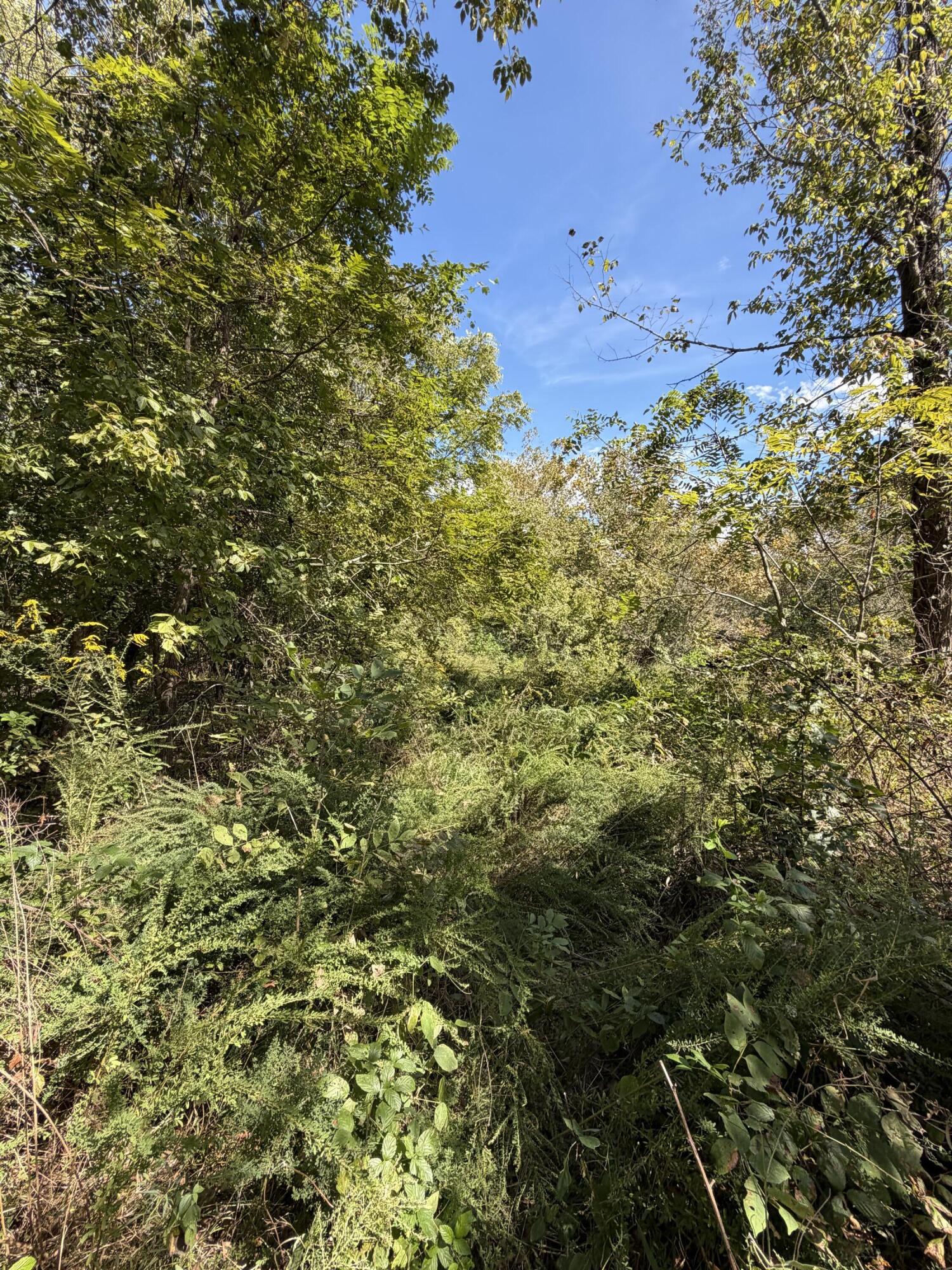 000 State Route 121 Property Photo 5