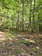 Lot 79 Fixer Road Property Photo 1