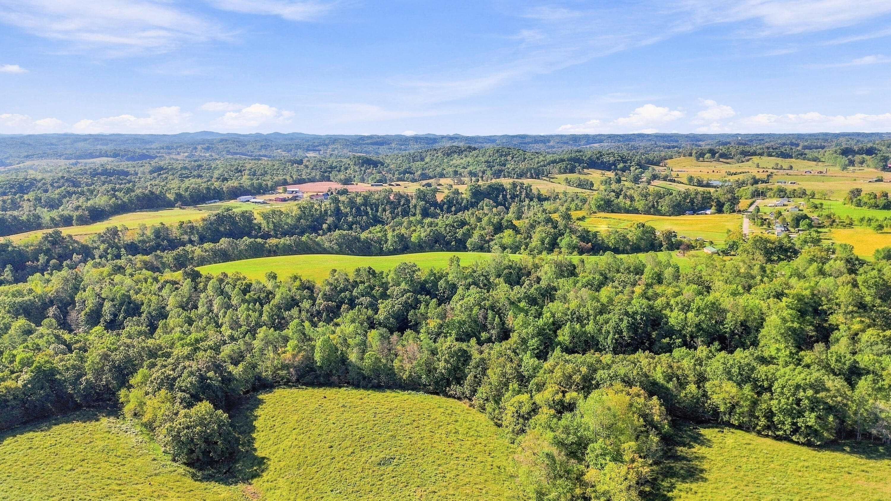 6204 Mount Zion Road Property Photo 8