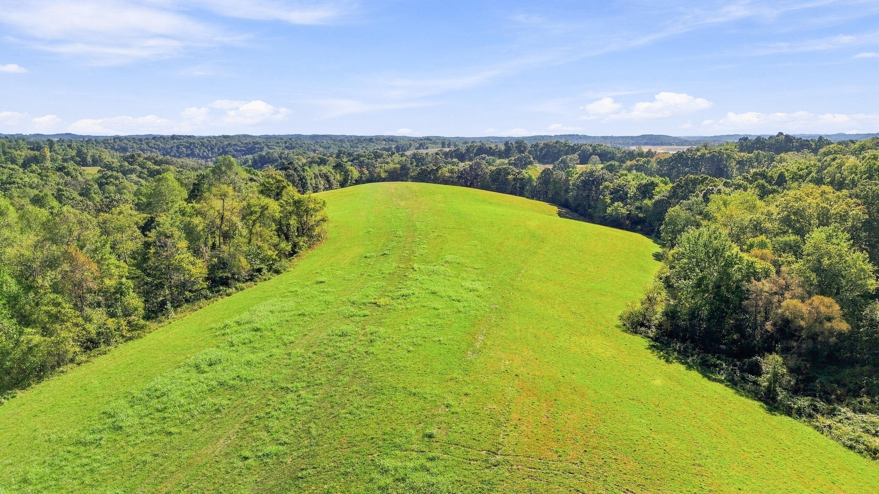 6204 Mount Zion Road Property Photo 11