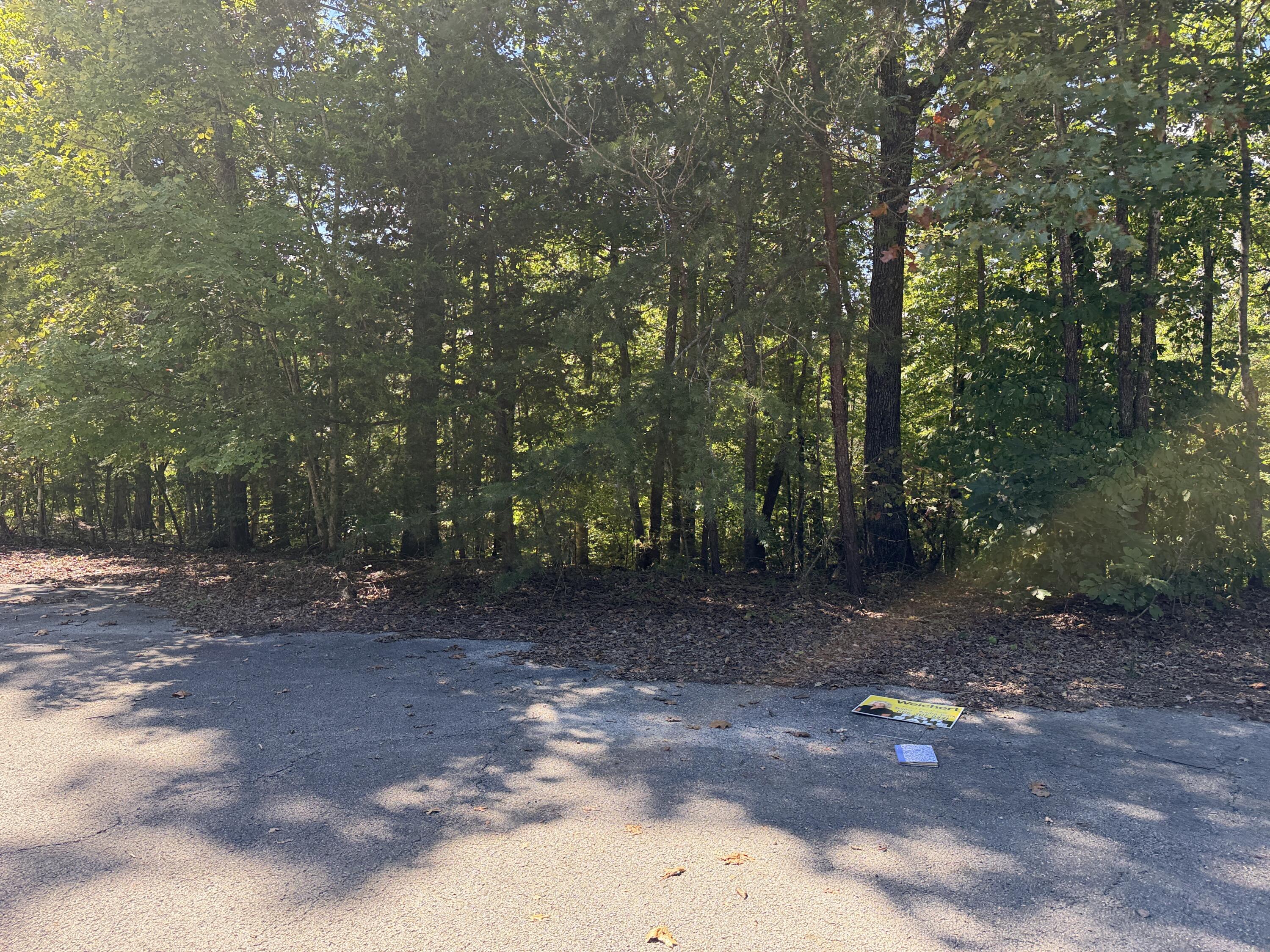 0 E Taxiway Drive Lot 15 Property Photo 1
