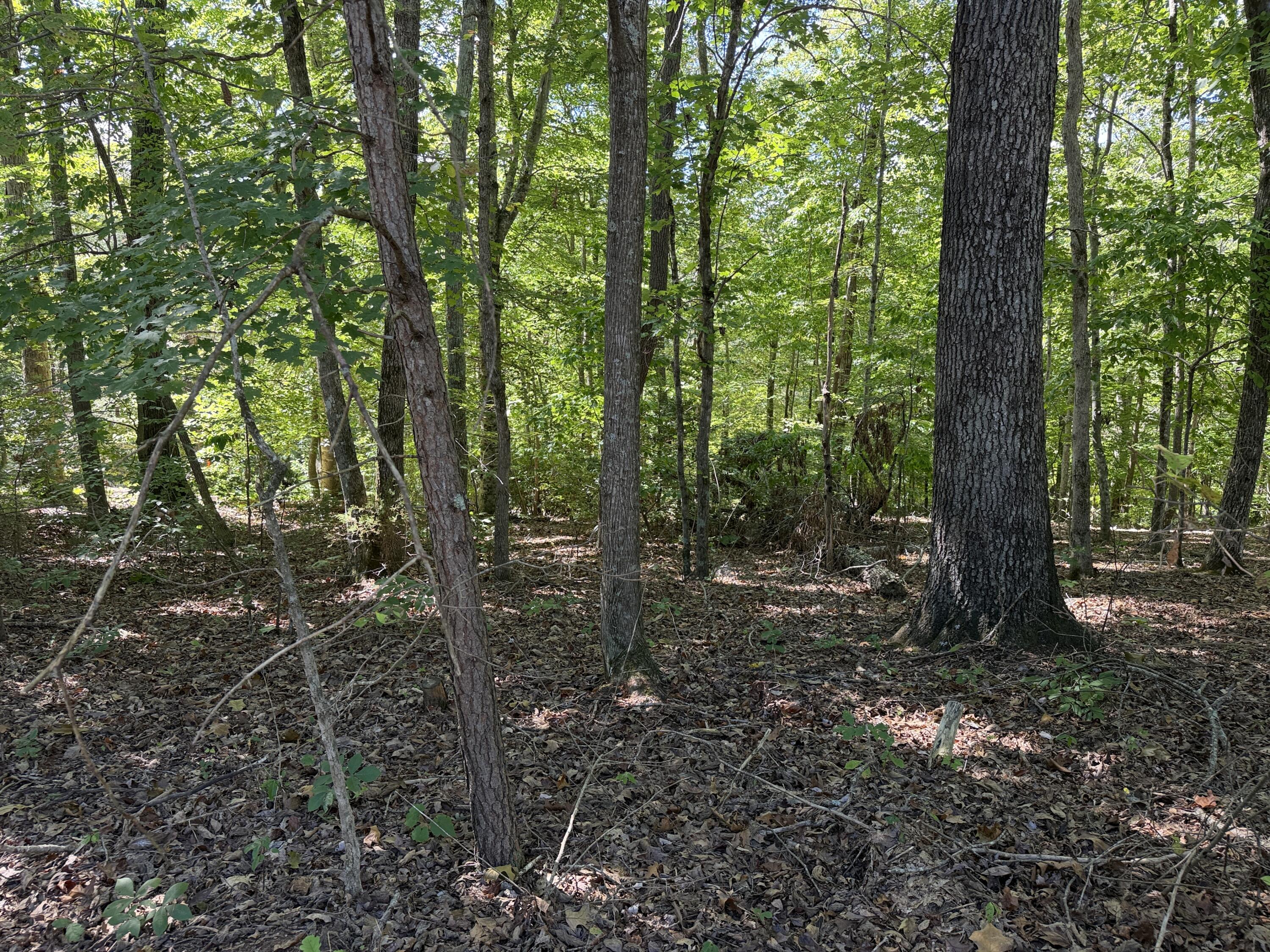 0 E Taxiway Drive Lot 15 Property Photo 2