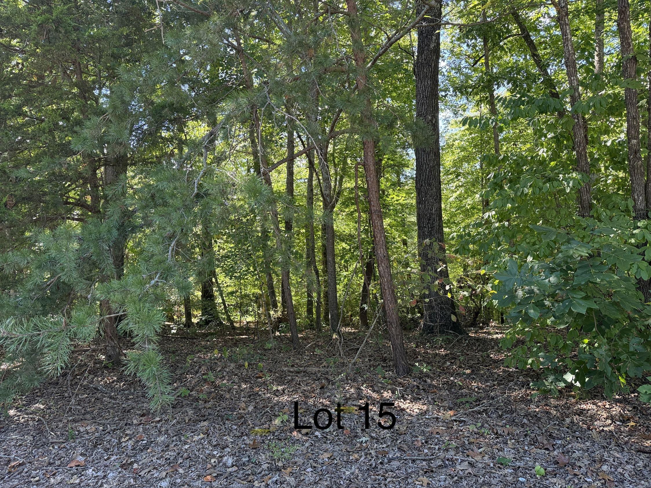 0 E Taxiway Drive Lot 15 Property Photo 4