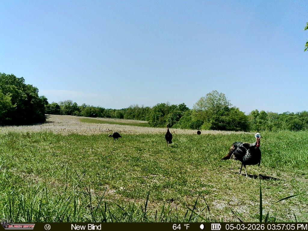 900 Withers Lane Property Photo 7