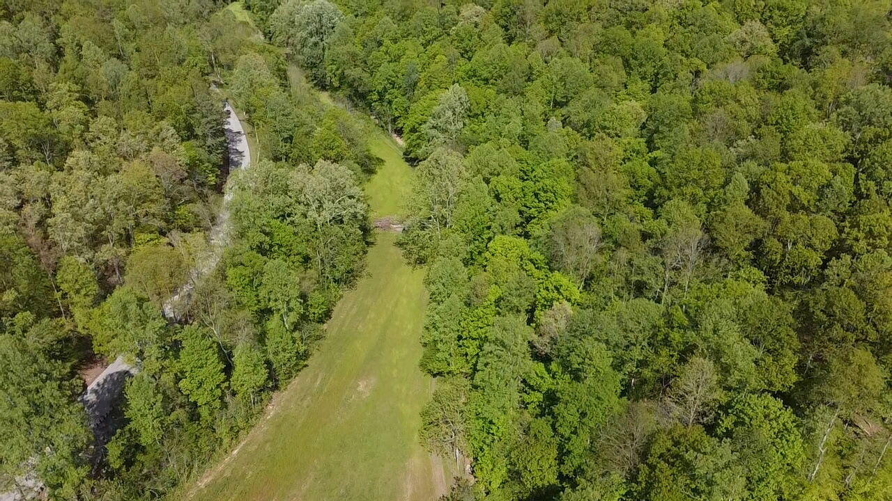 Hwy 3446 Sand Springs Road Property Photo 3