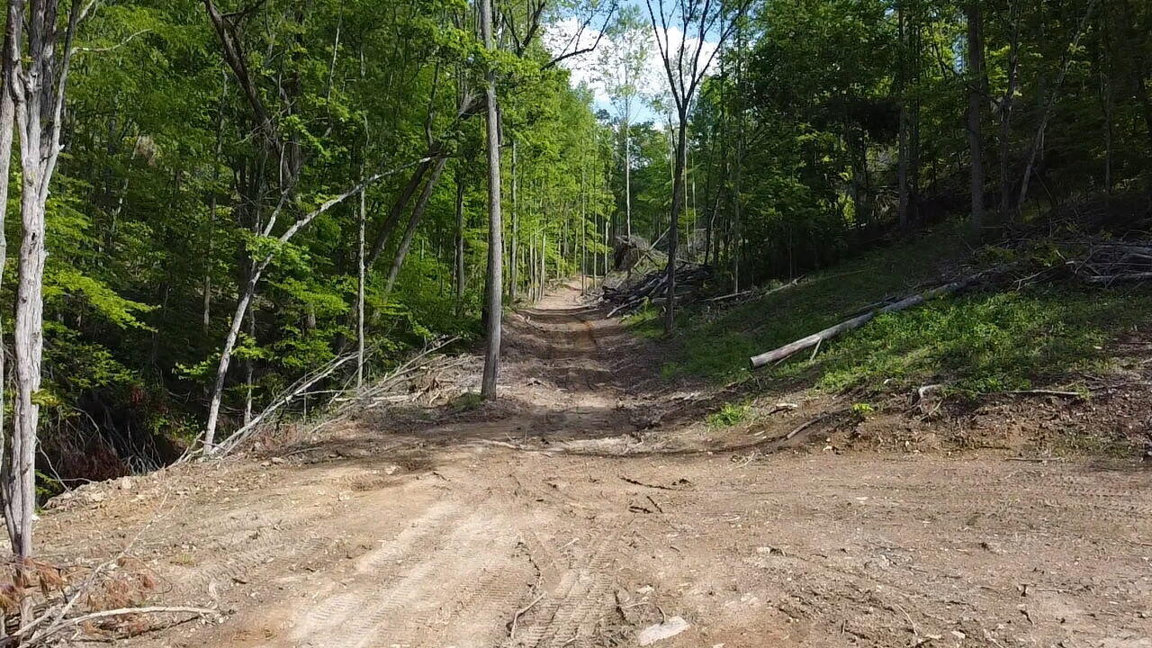 Hwy 3446 Sand Springs Road Property Photo 6