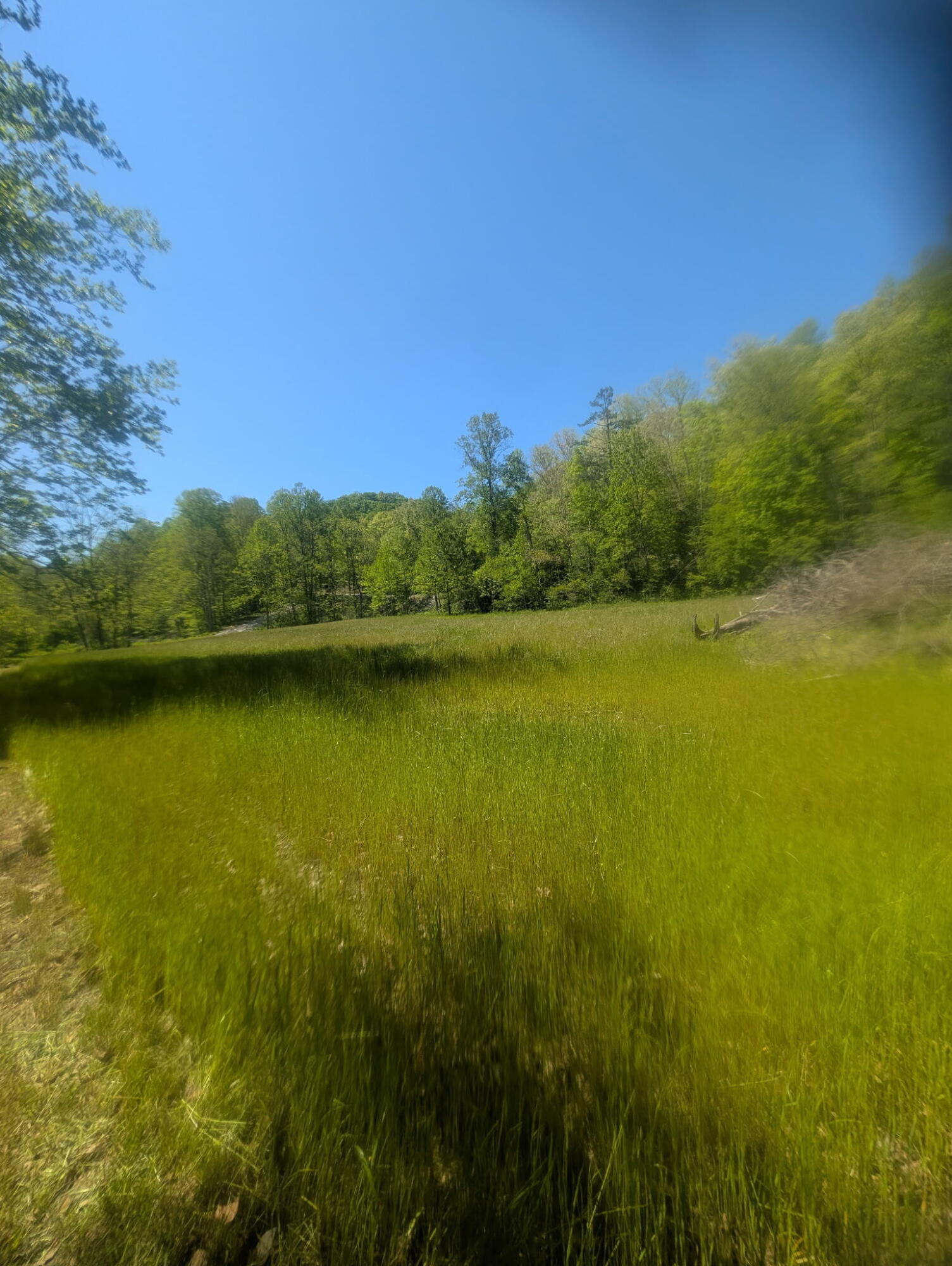 Hwy 3446 Sand Springs Road Property Photo 11