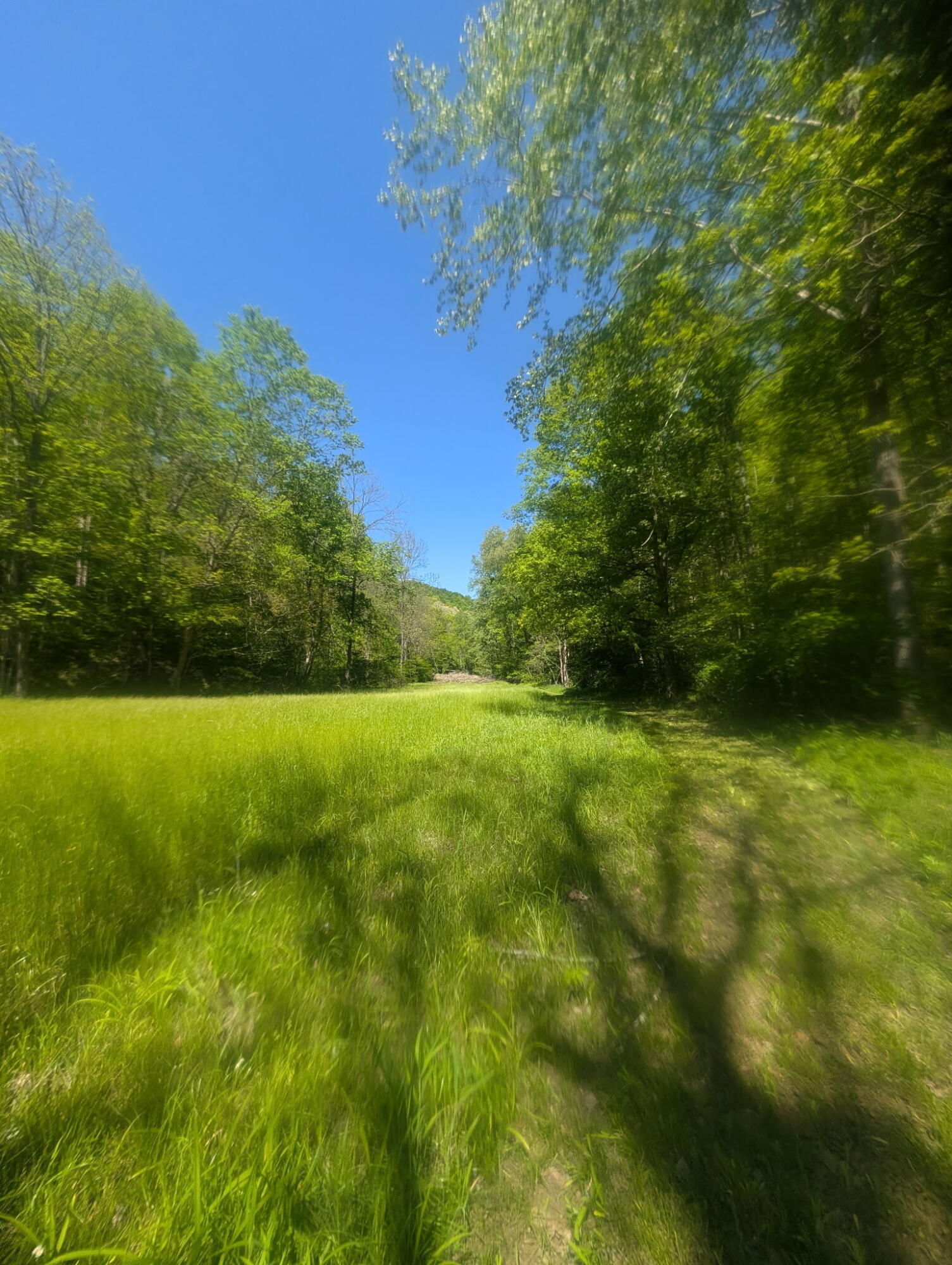 Hwy 3446 Sand Springs Road Property Photo 12