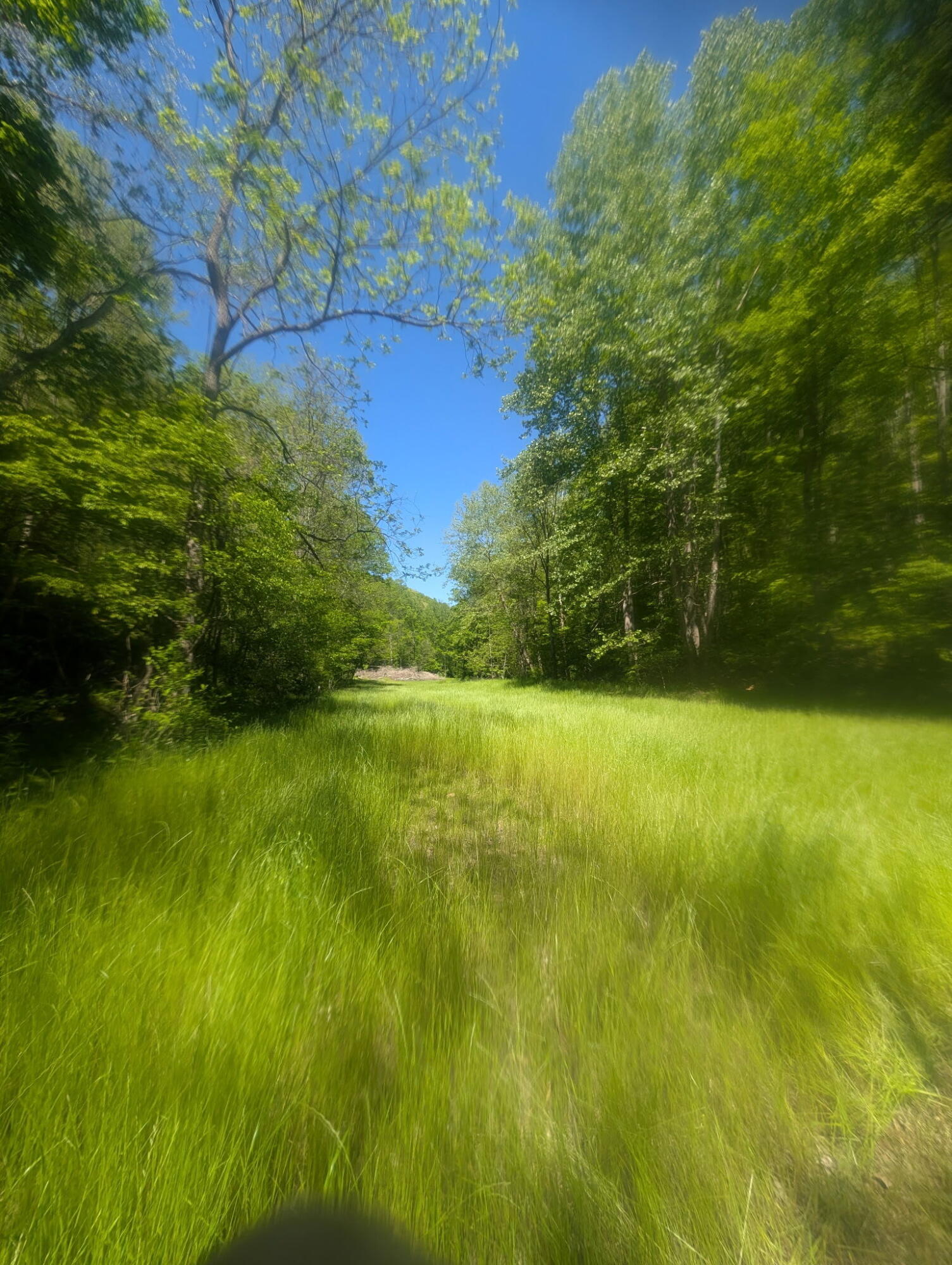 Hwy 3446 Sand Springs Road Property Photo 13