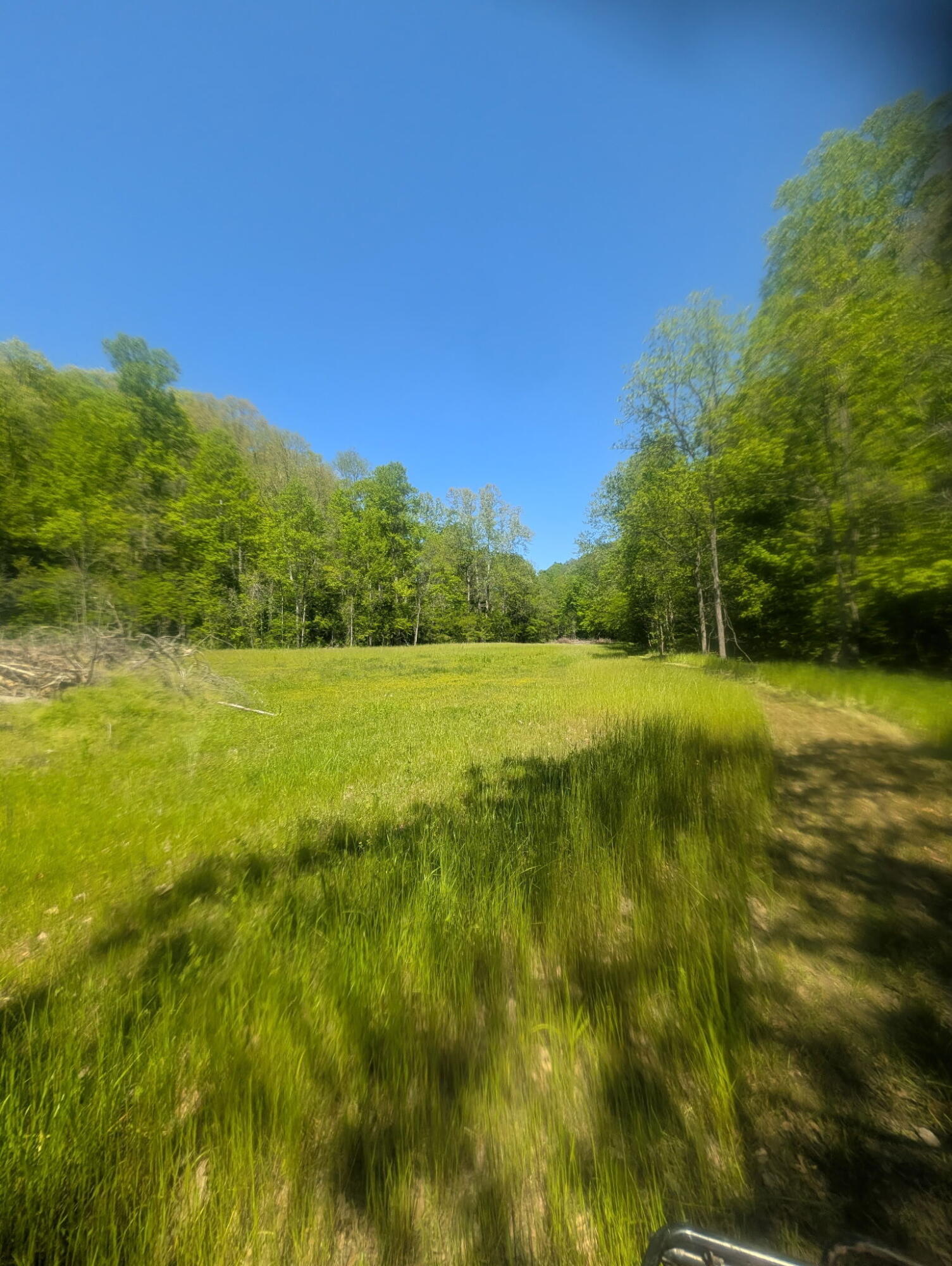 Hwy 3446 Sand Springs Road Property Photo 14