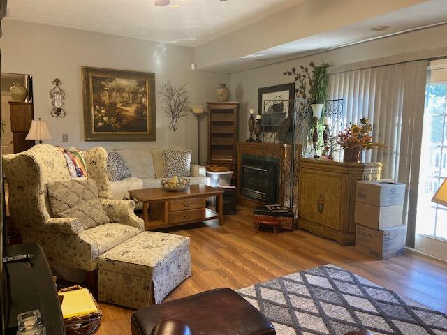 702 Boxwood Drive Property Photo 5