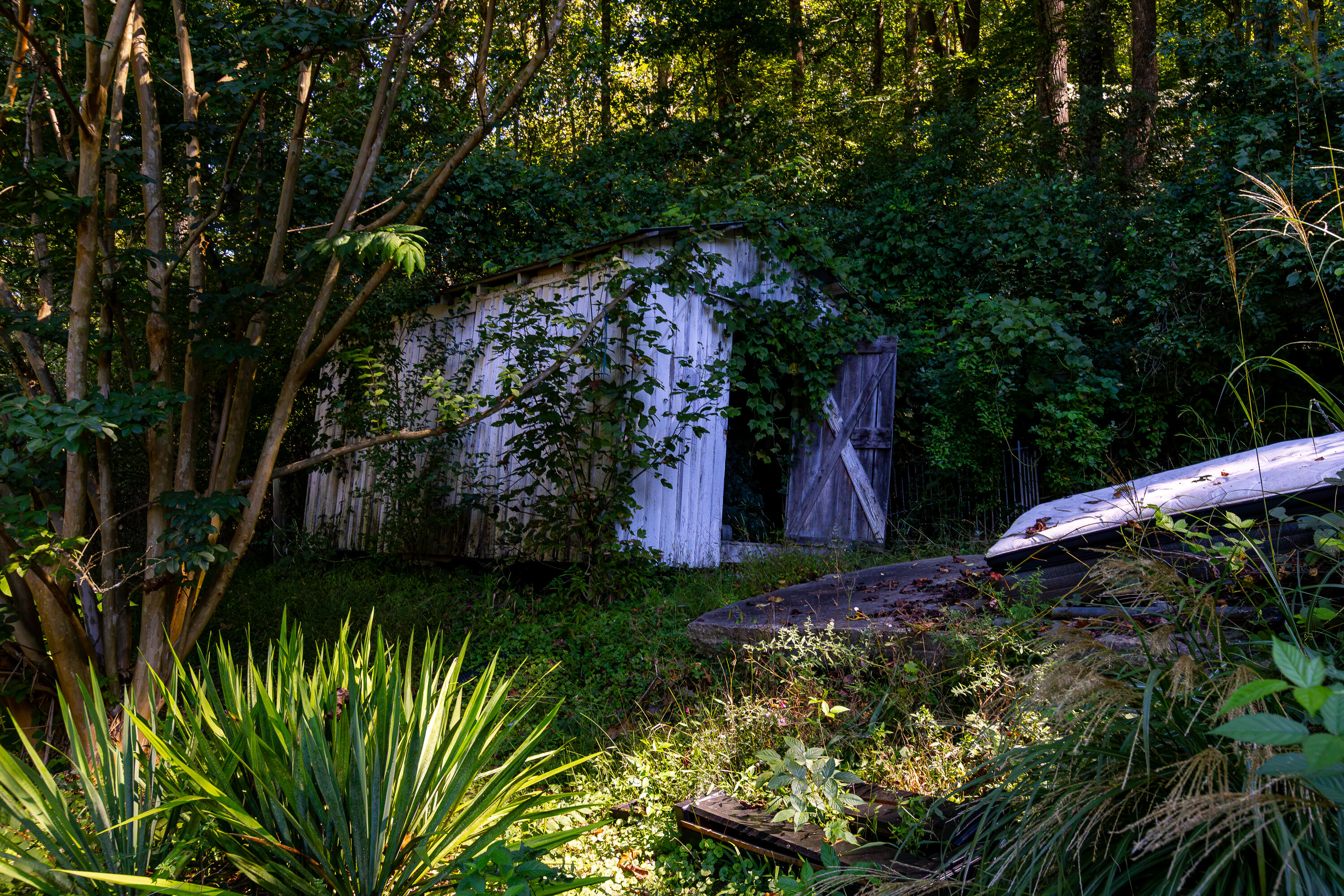 115 Ccc Bottom Road Property Photo 38
