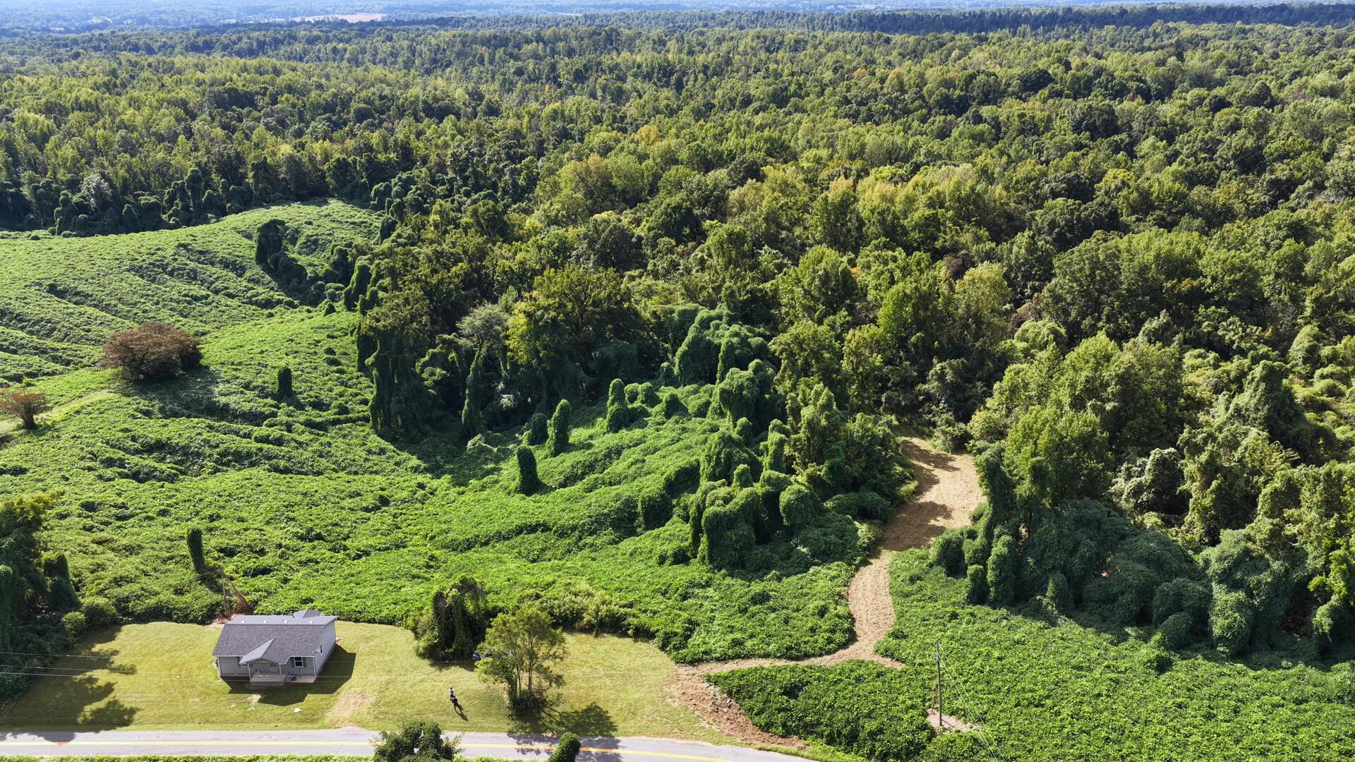 3340 State Route 925 Property Photo 2