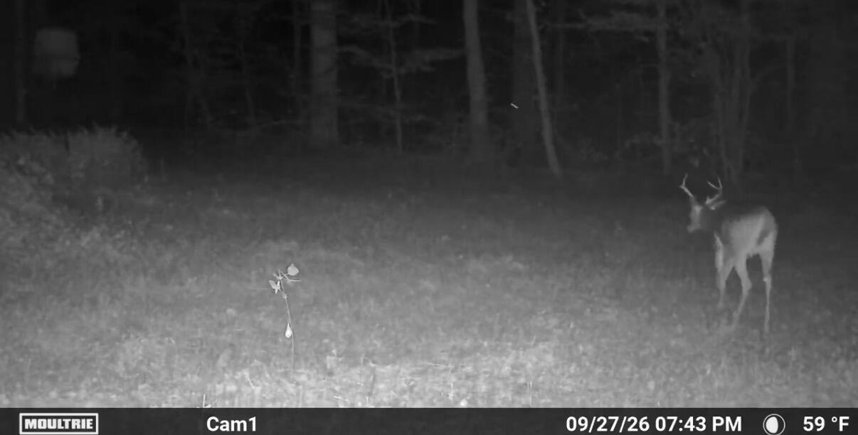 3340 State Route 925 Property Photo 14