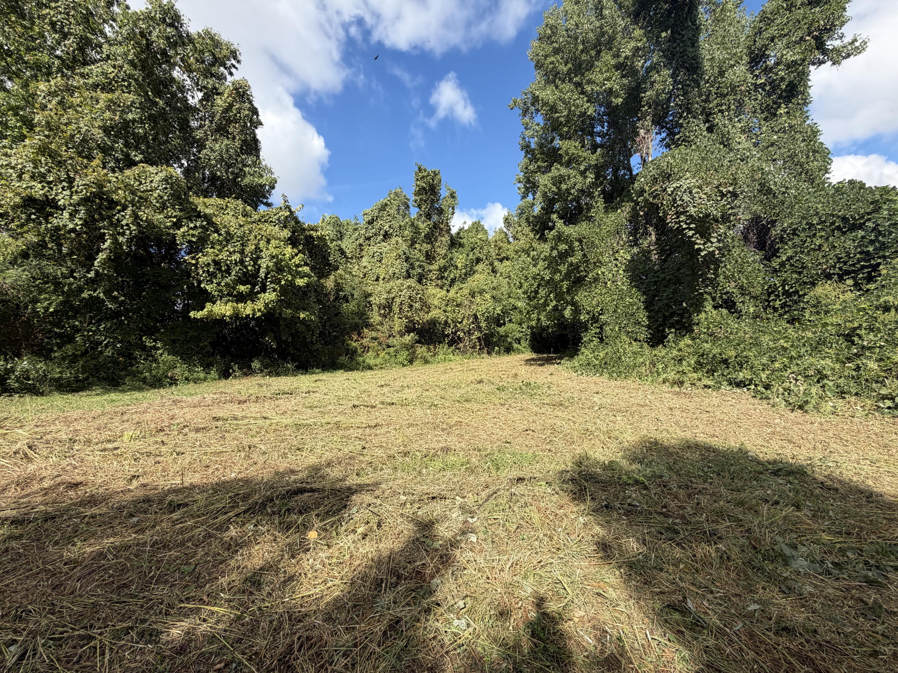 3340 State Route 925 Property Photo 16