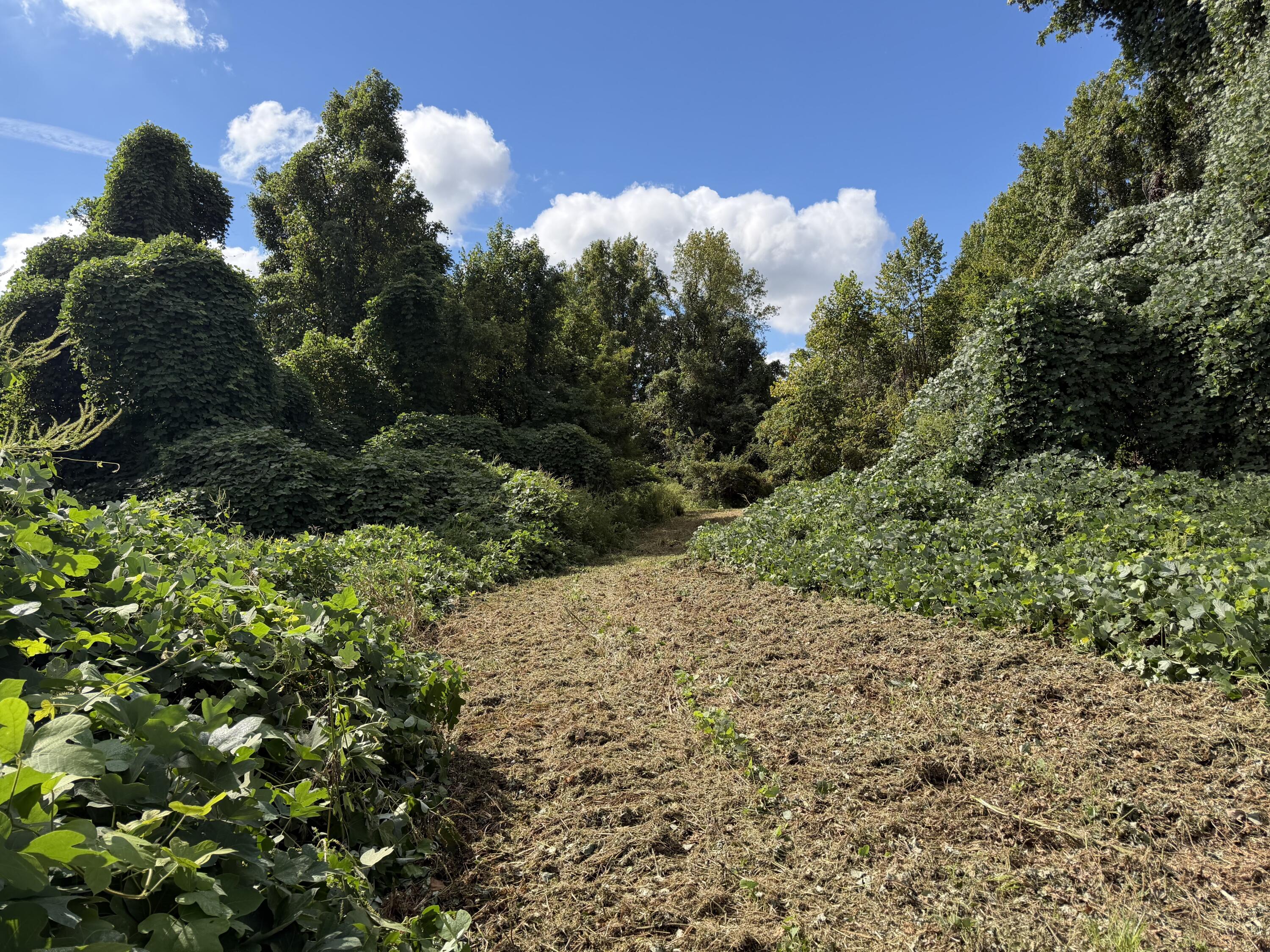 3340 State Route 925 Property Photo 18