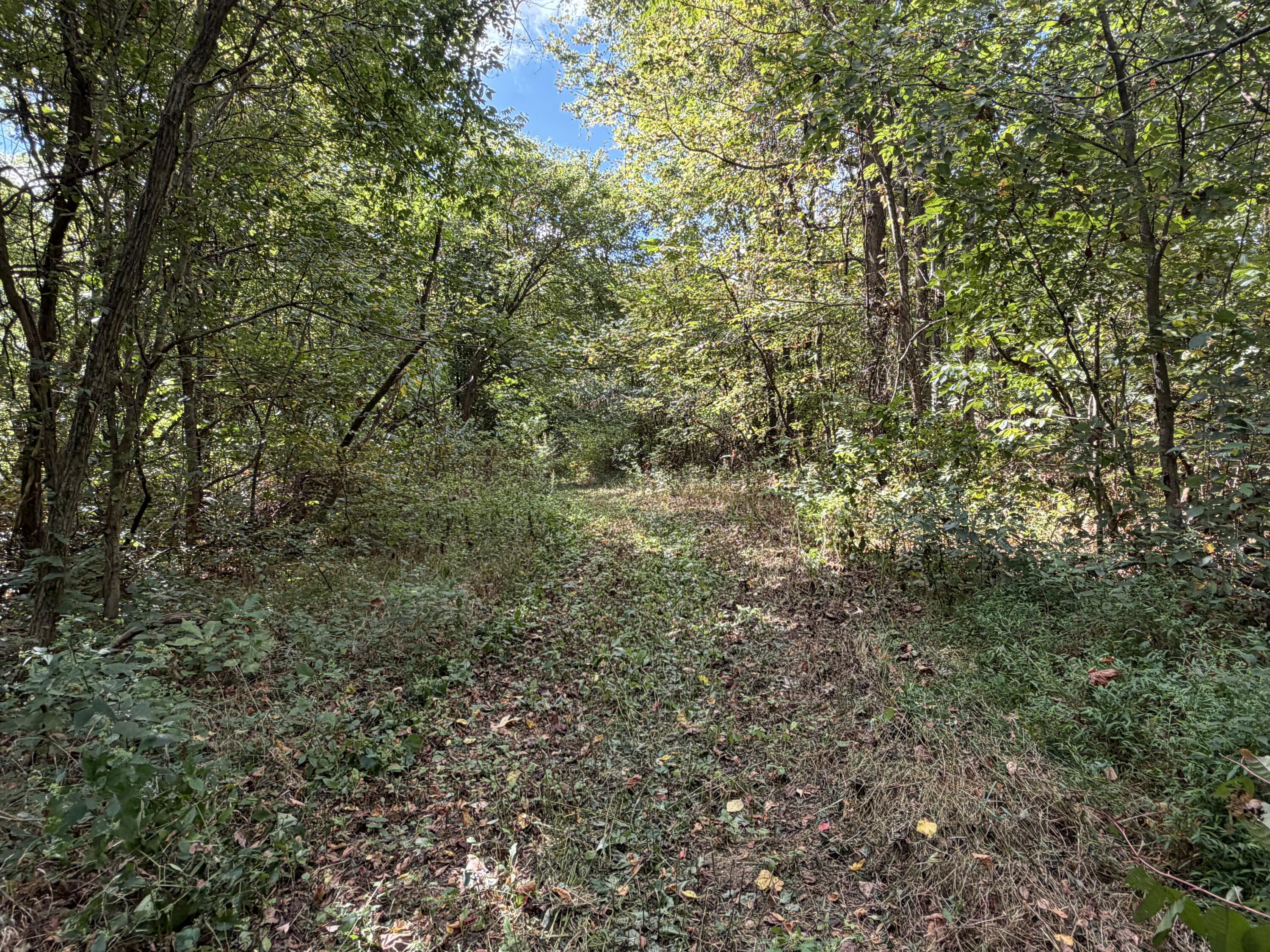 3340 State Route 925 Property Photo 20