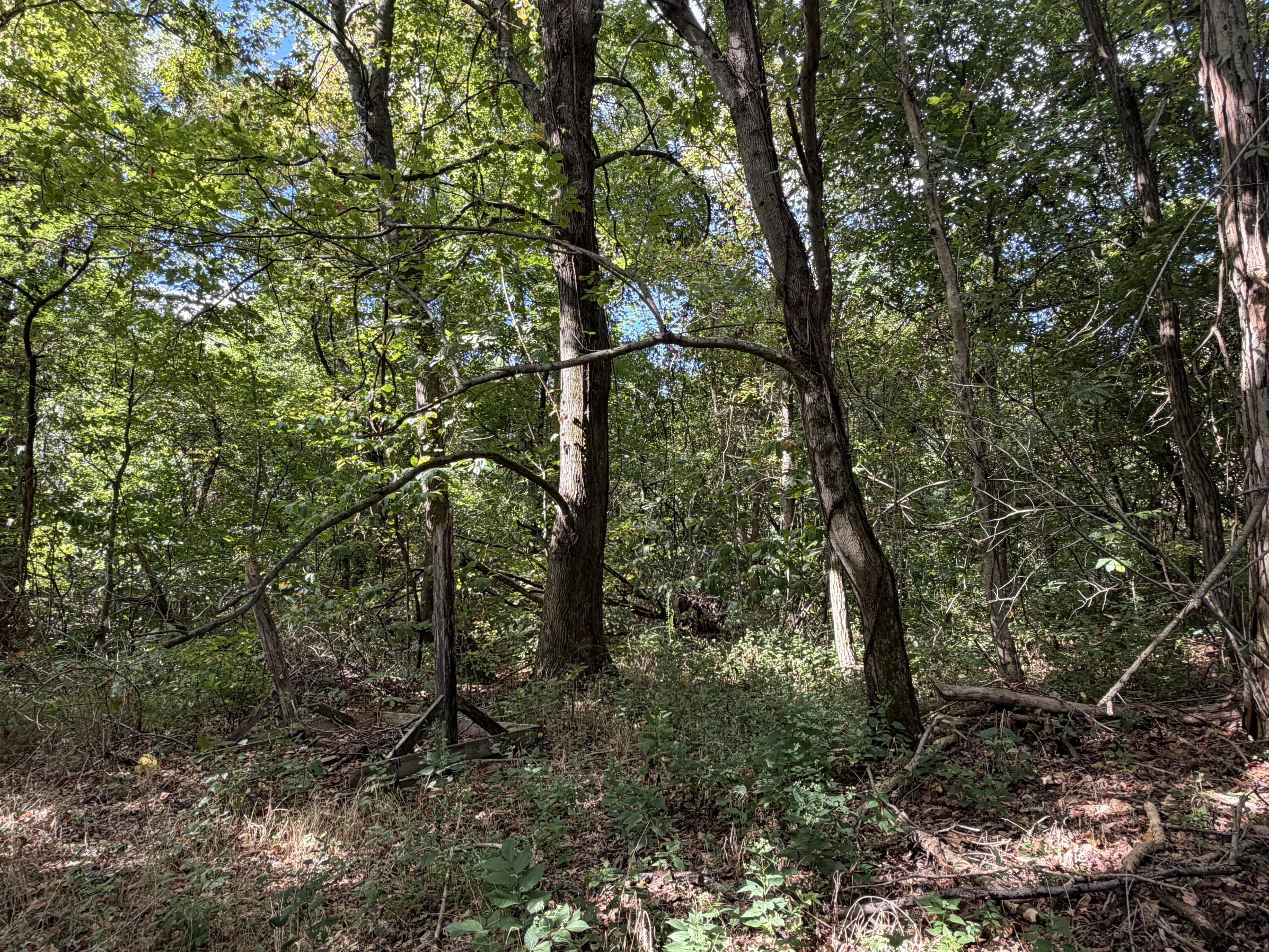 3340 State Route 925 Property Photo 21