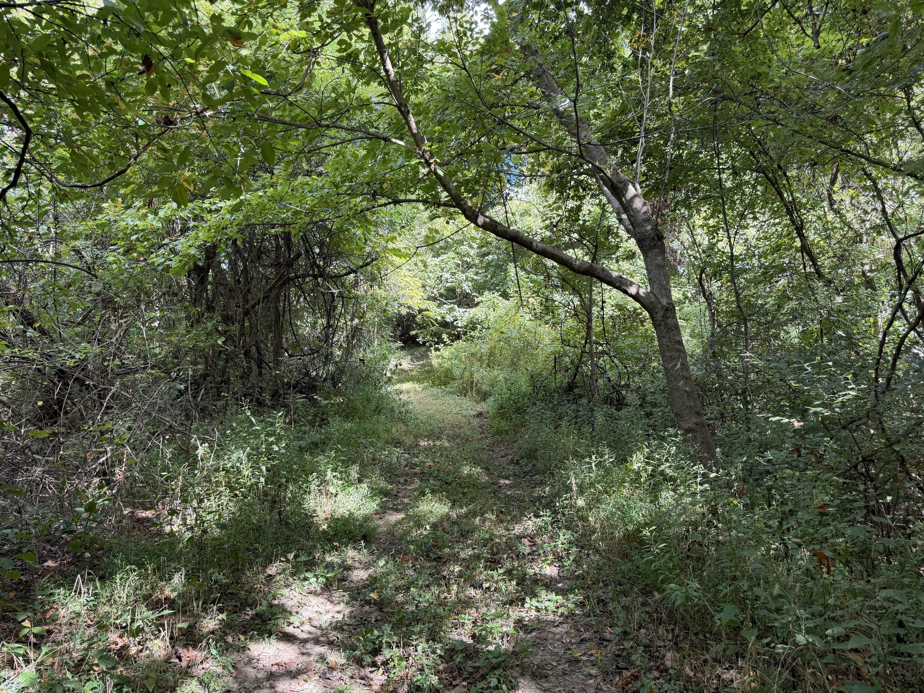 3340 State Route 925 Property Photo 22