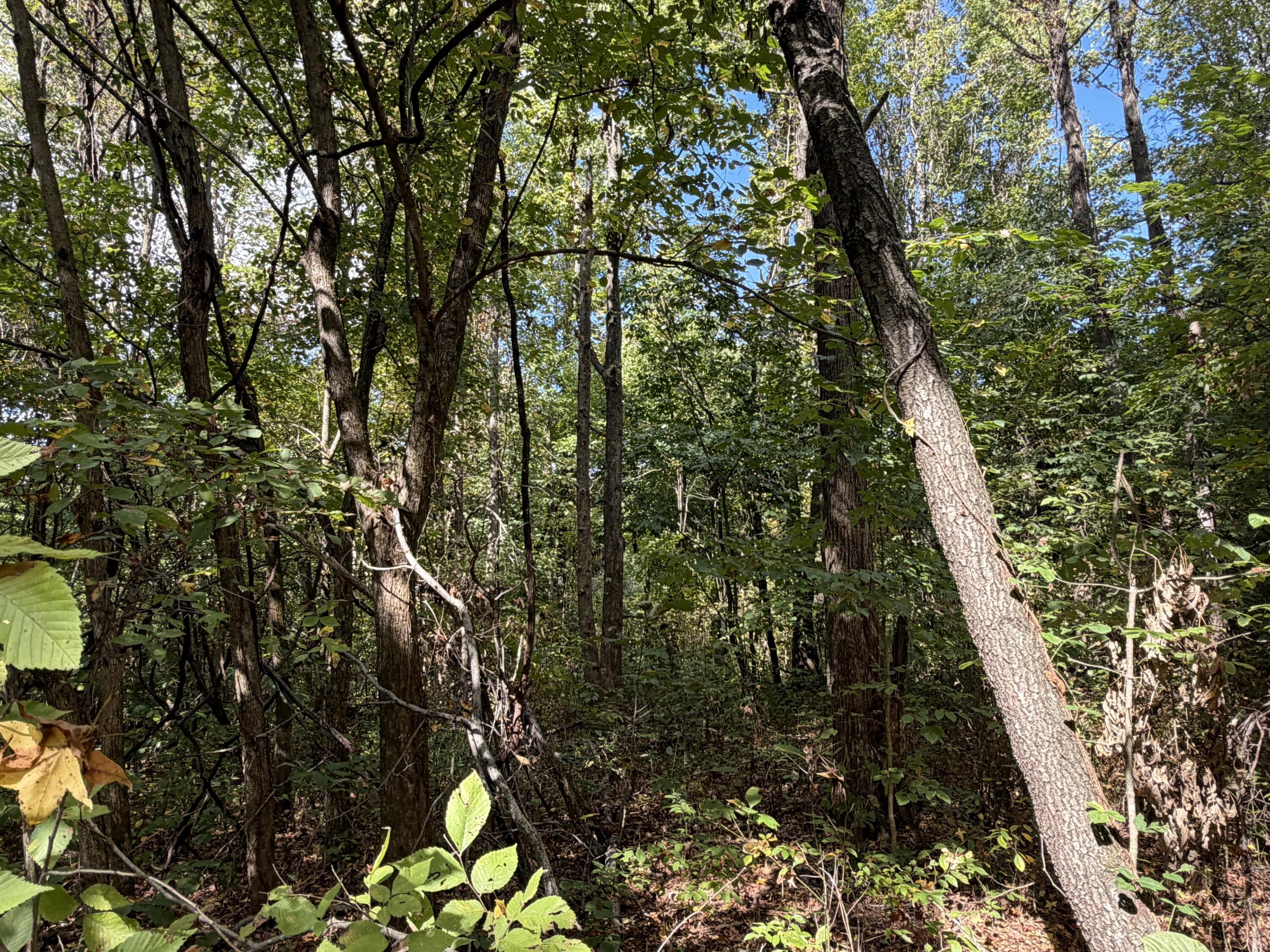 3340 State Route 925 Property Photo 23