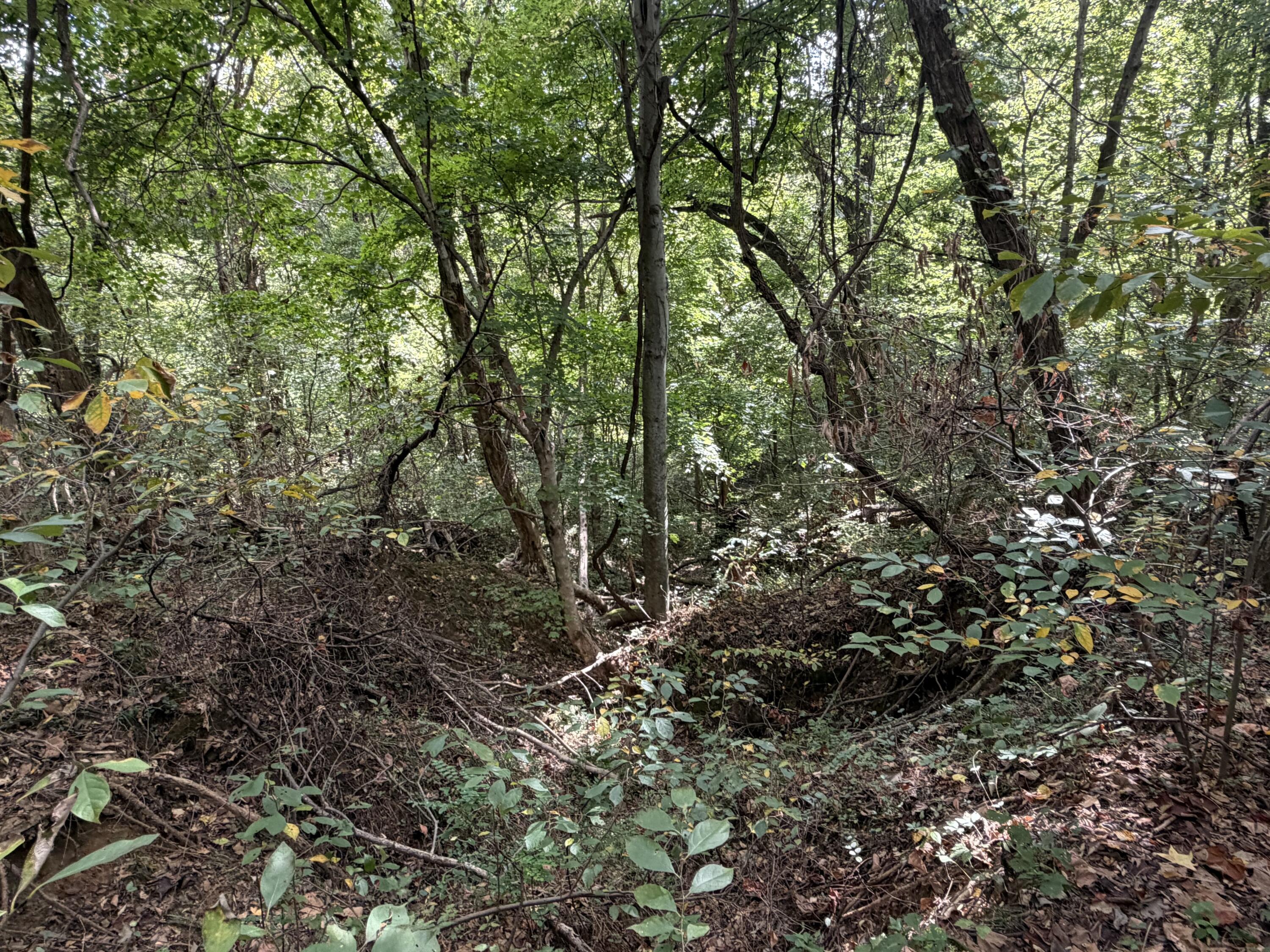 3340 State Route 925 Property Photo 24