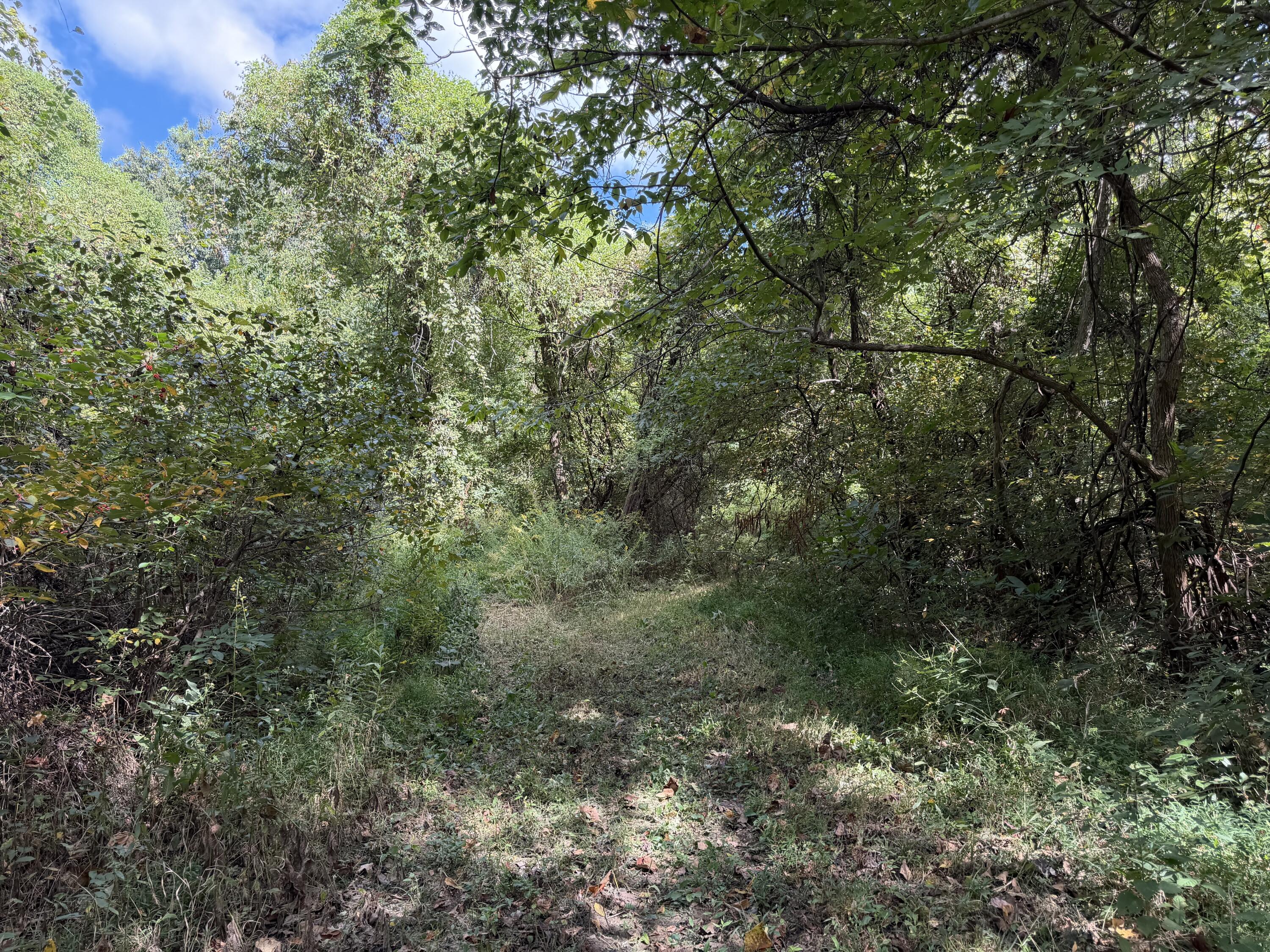 3340 State Route 925 Property Photo 25