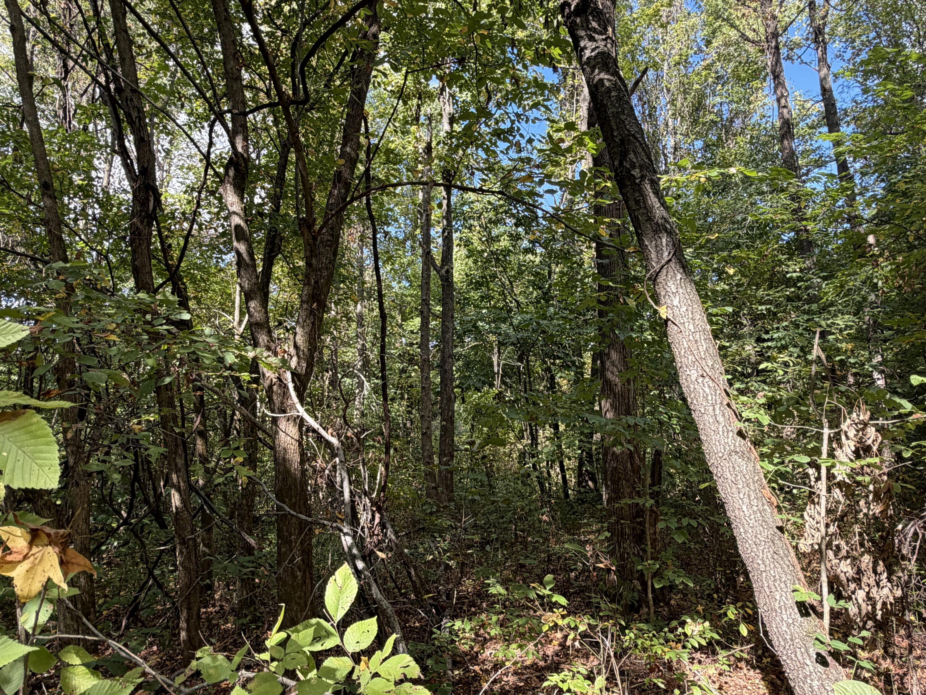 3340 State Route 925 Property Photo 26