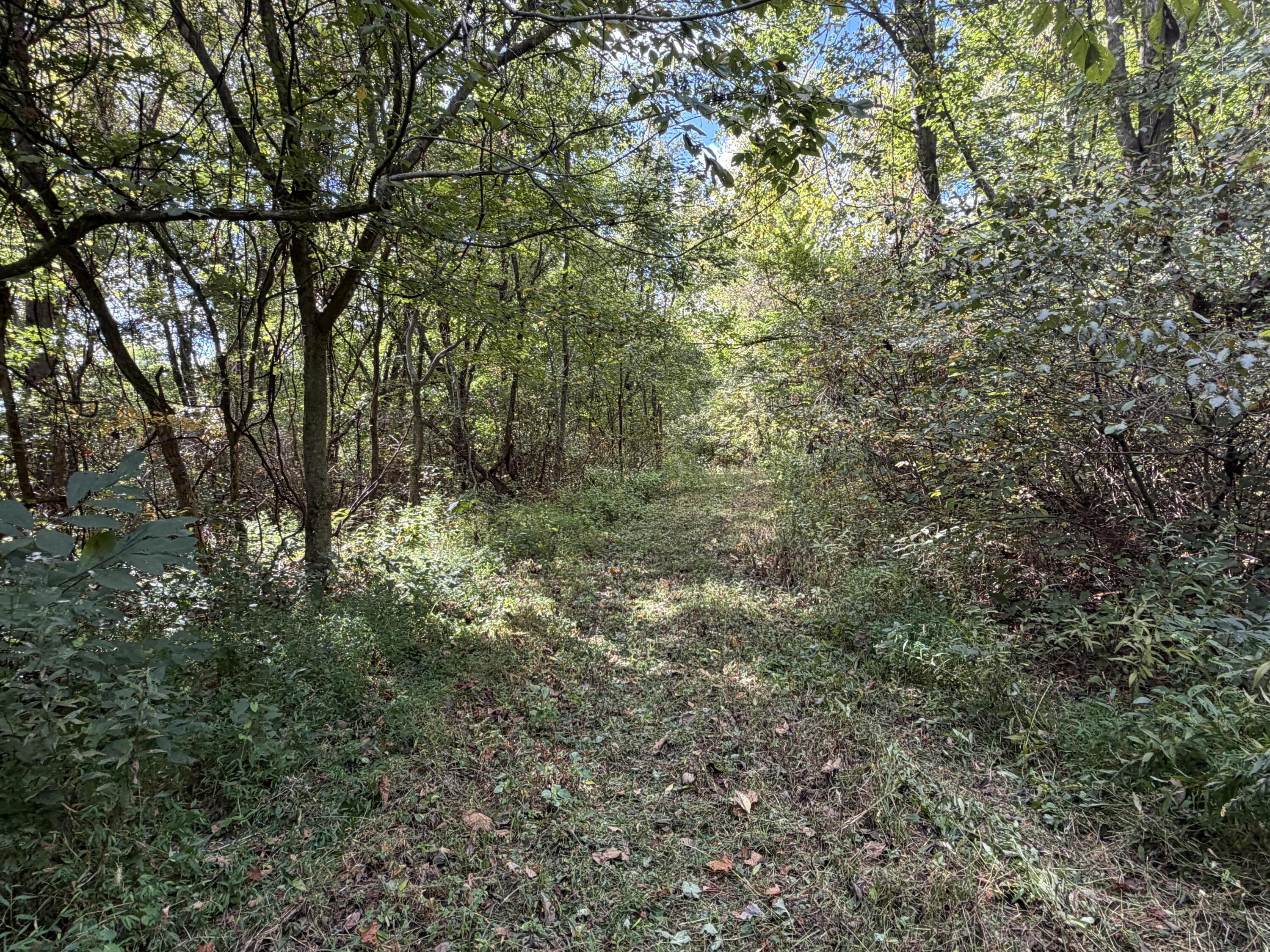 3340 State Route 925 Property Photo 27