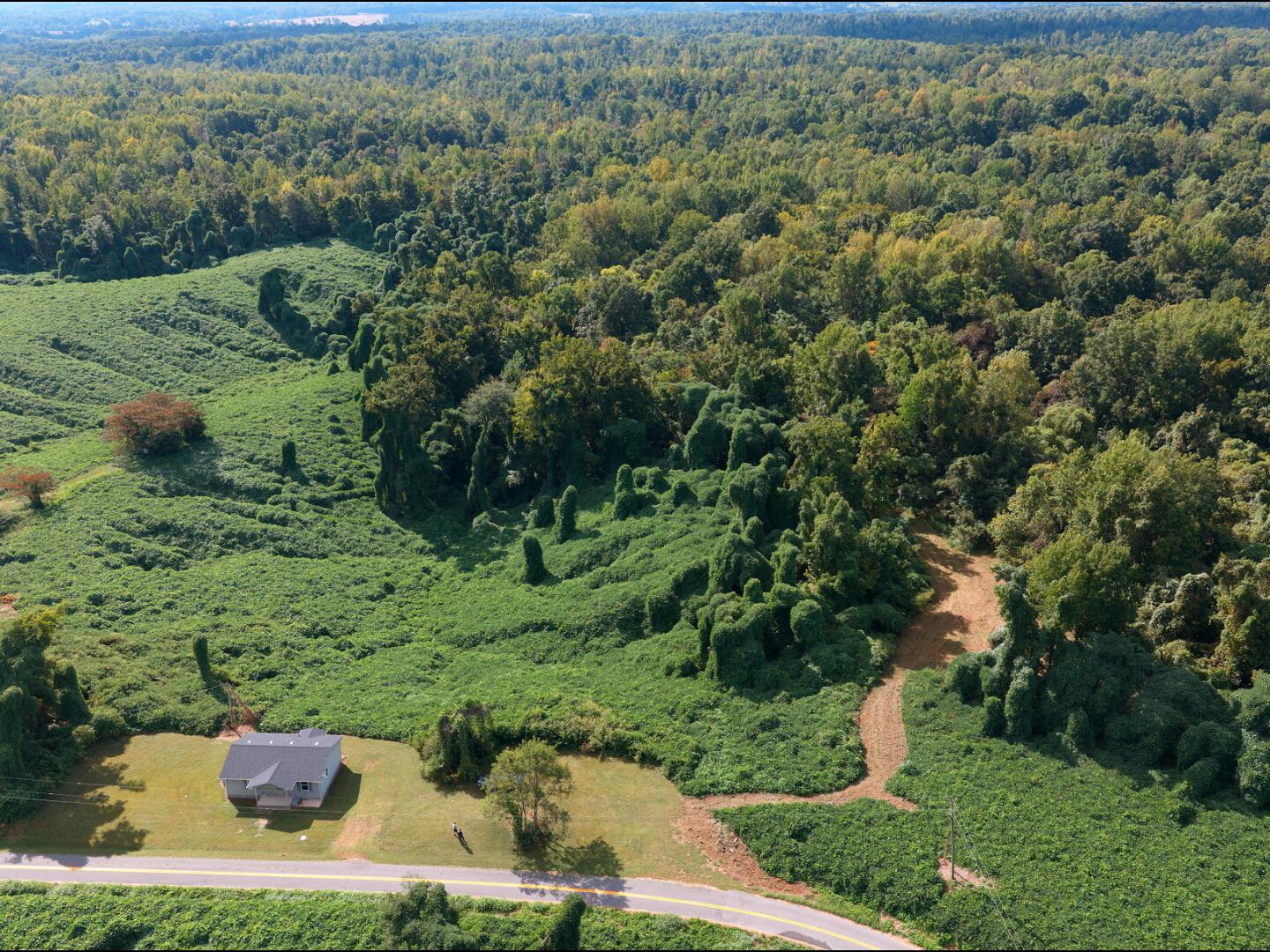 3340 State Route 925 Property Photo 28