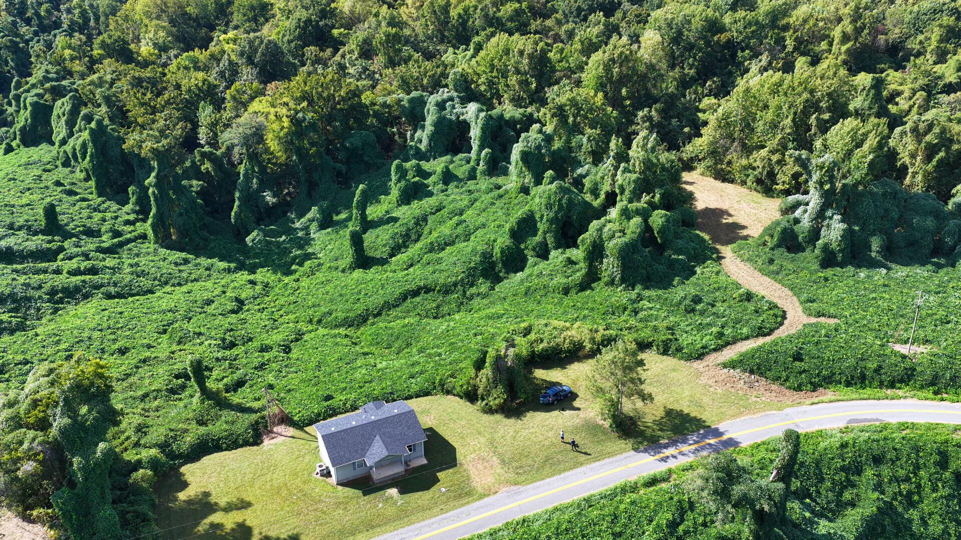 3340 State Route 925 Property Photo 29