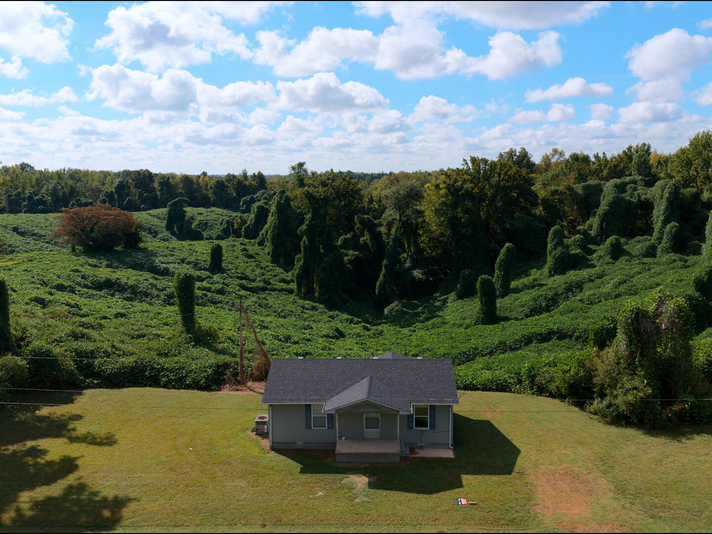 3340 State Route 925 Property Photo 34