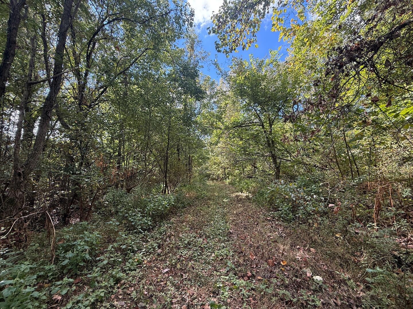 3340 State Route 925 Property Photo 36