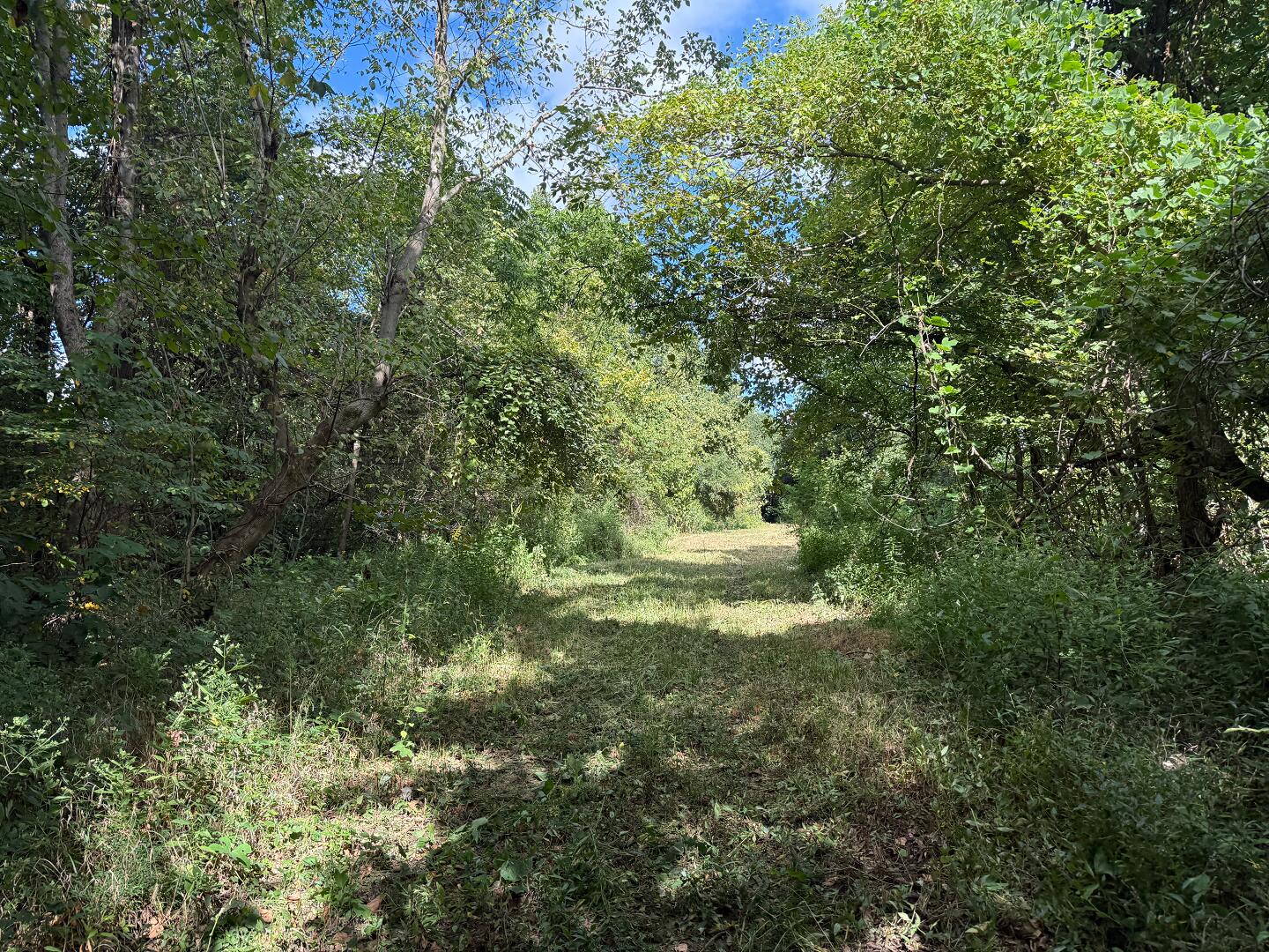 3340 State Route 925 Property Photo 37
