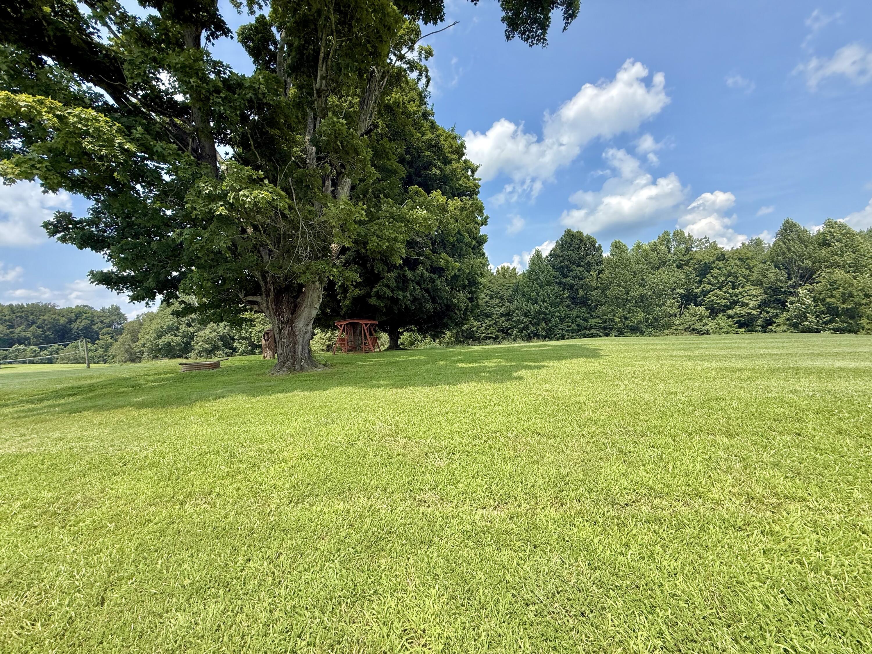 2659 N Ky-501 Property Photo 5