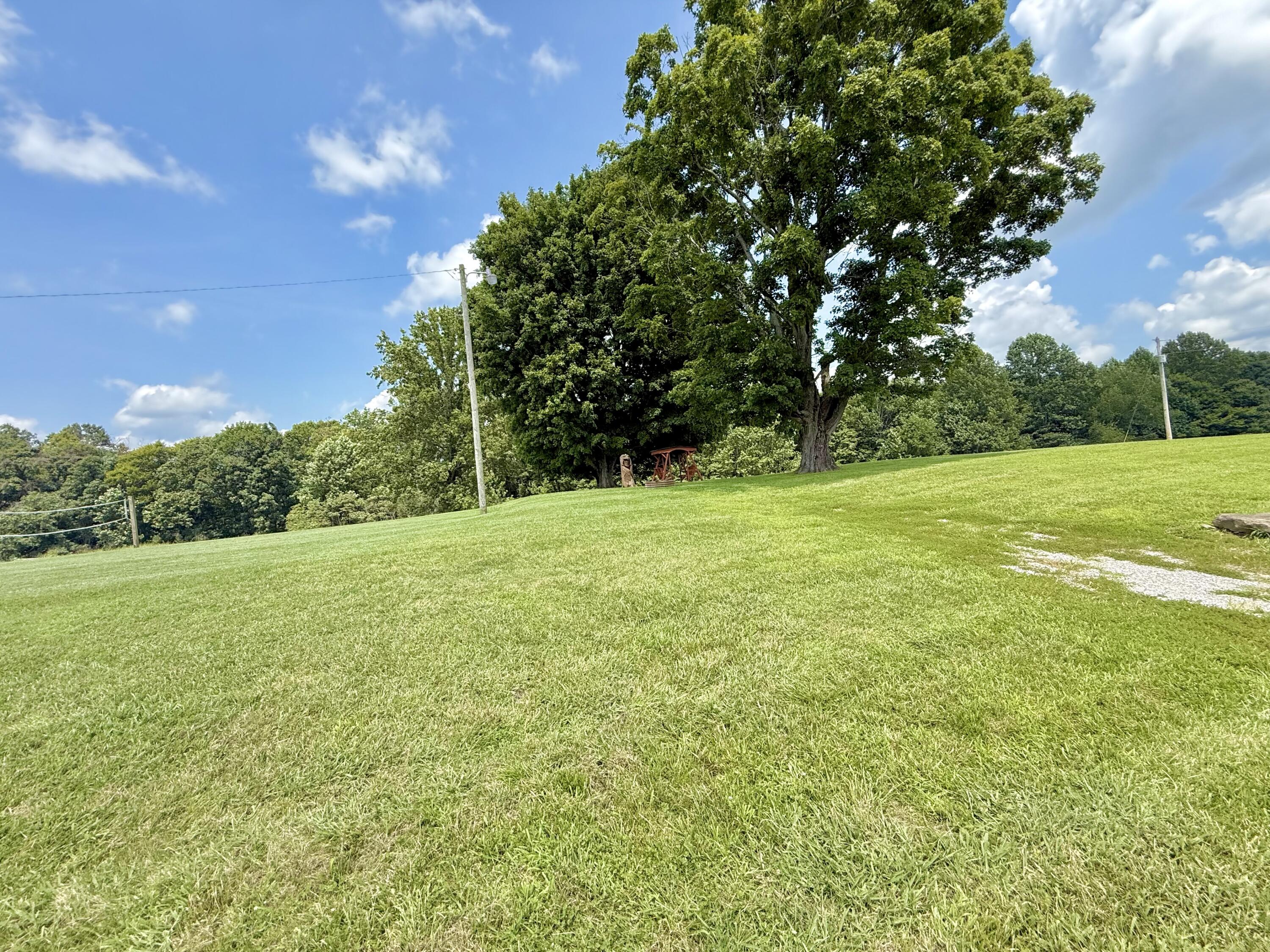2659 N Ky-501 Property Photo 6