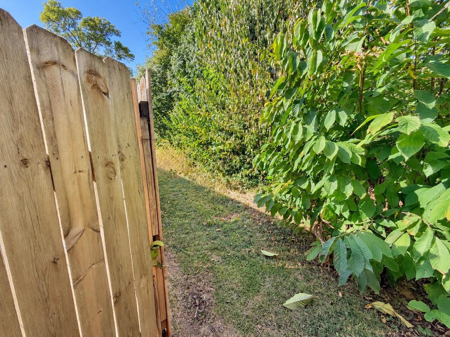 2769 Michelle Park Property Photo 32