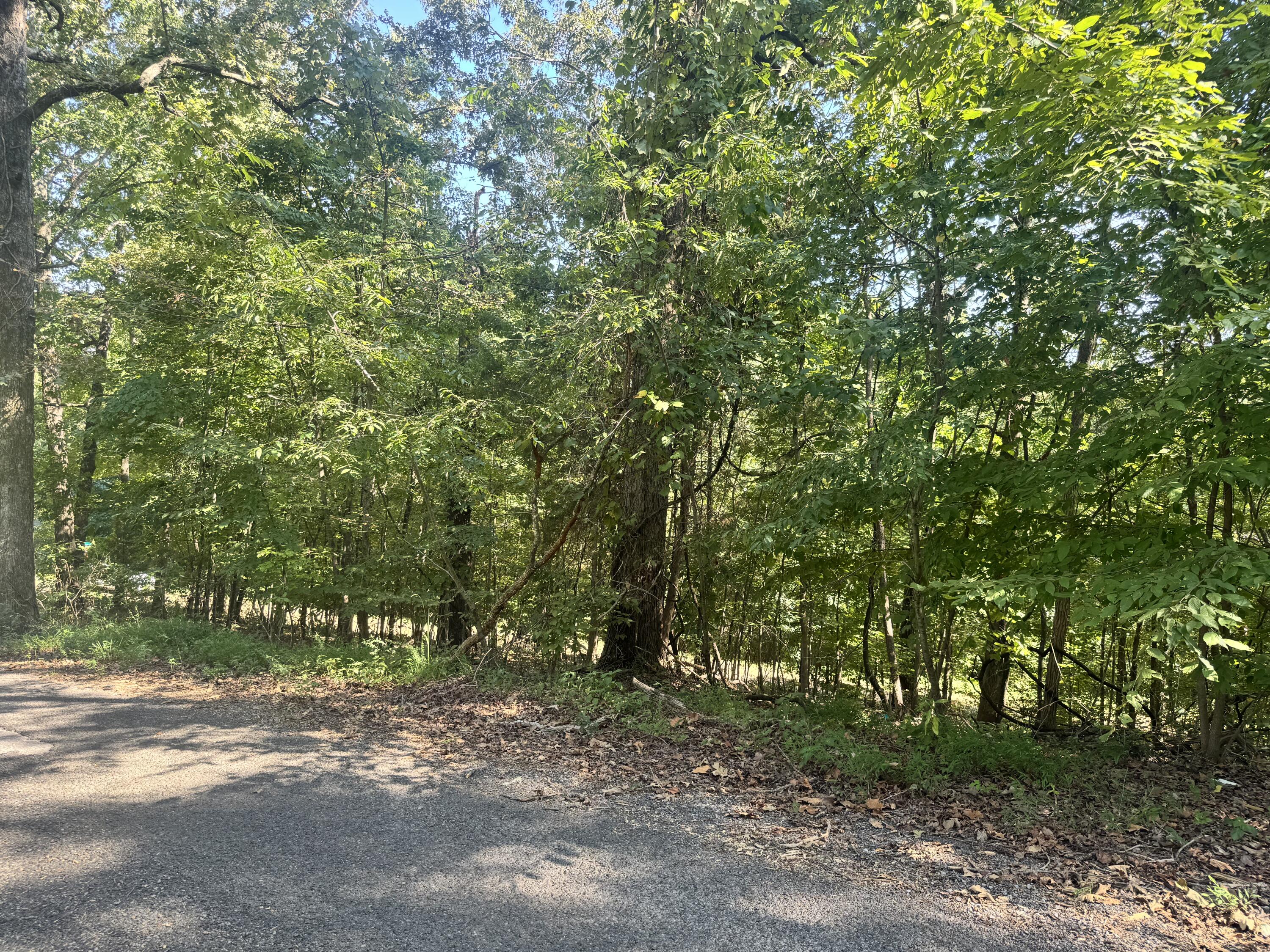 Lot 123 Channel Drive