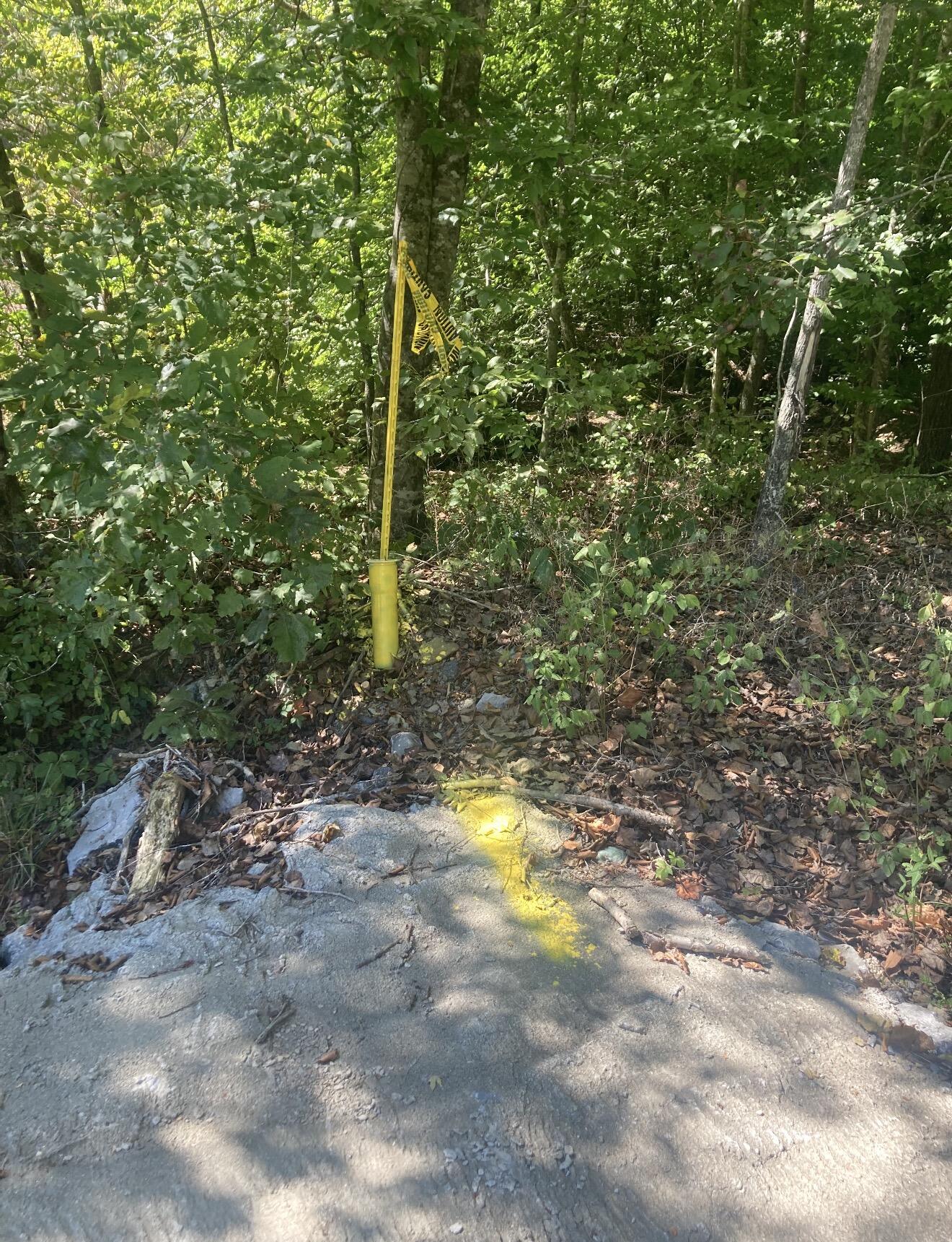1581 Martins Trail Property Photo 3