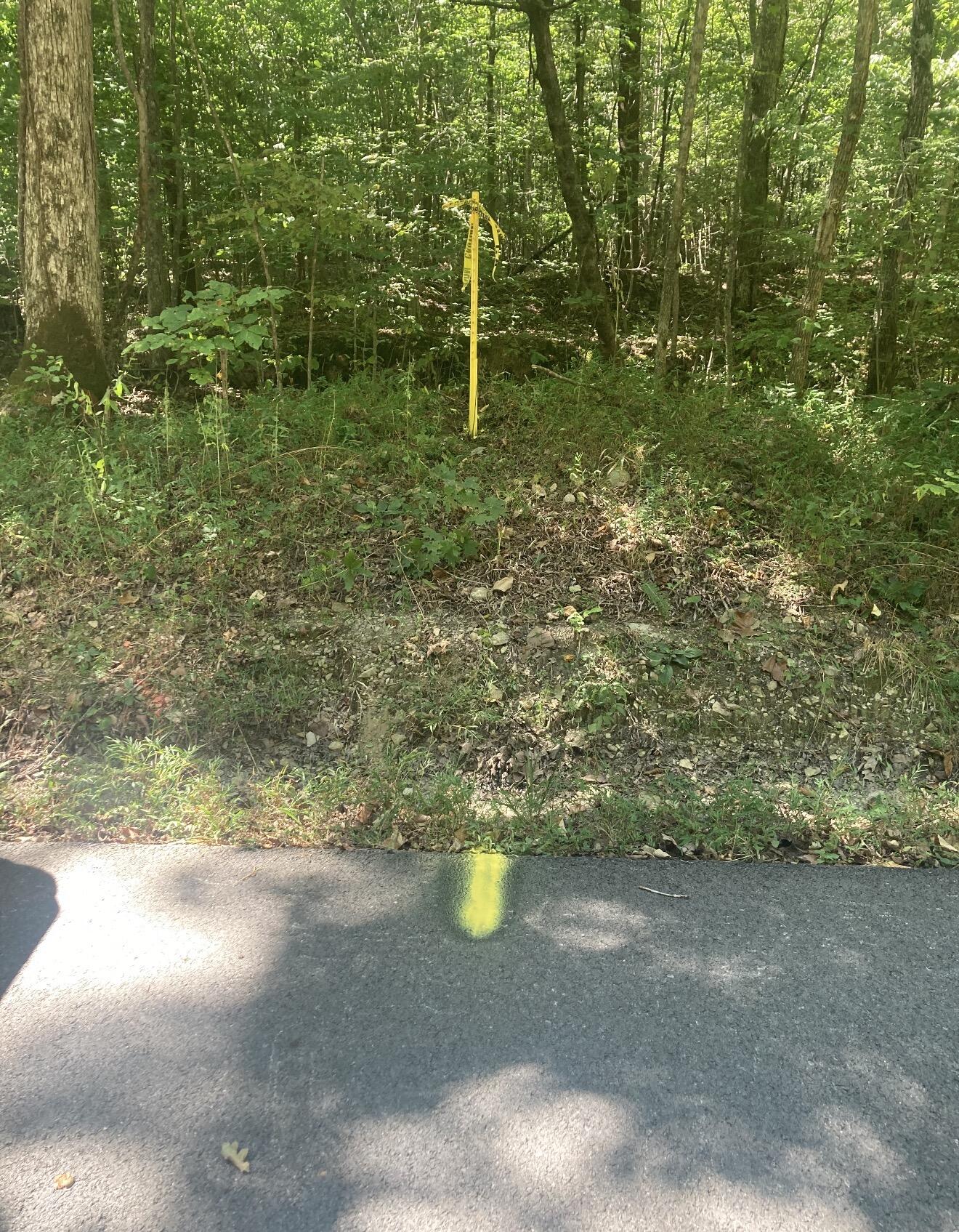 1581 Martins Trail Property Photo 4